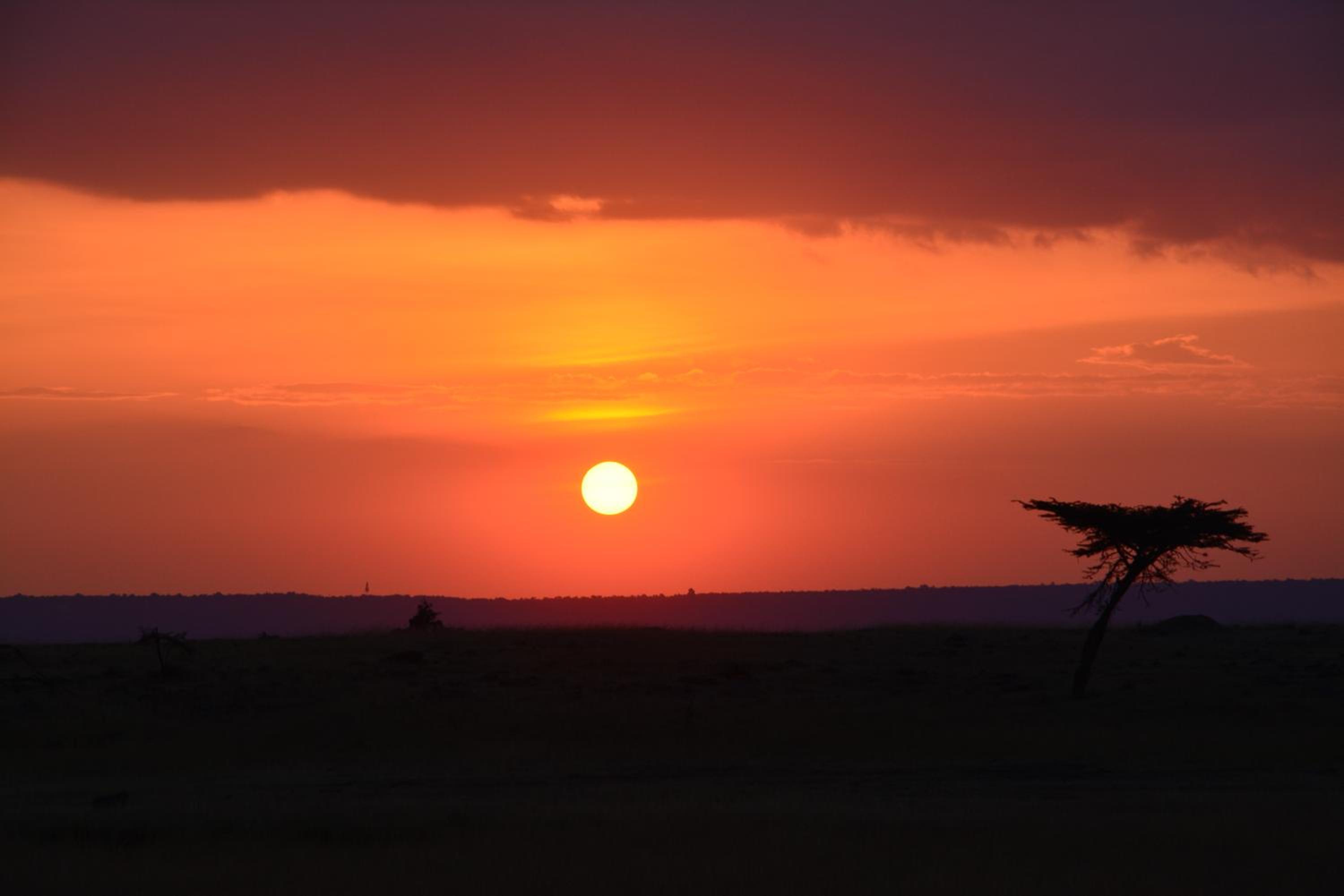 Masai Mara Vacations - Neptune Mara Rianta Luxury Camp - All Inclusive. - Property Image 27