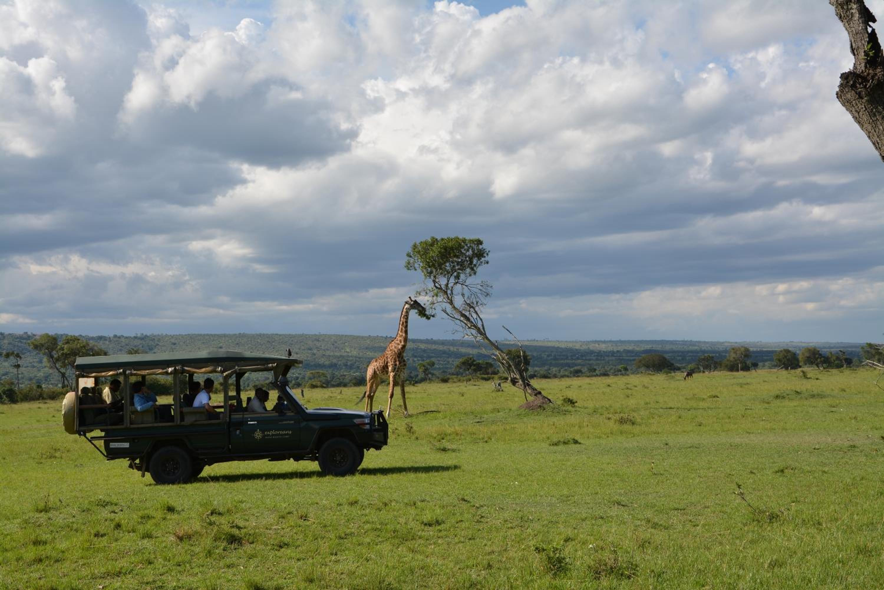 Masai Mara Vacations - Neptune Mara Rianta Luxury Camp - All Inclusive. - Property Image 38