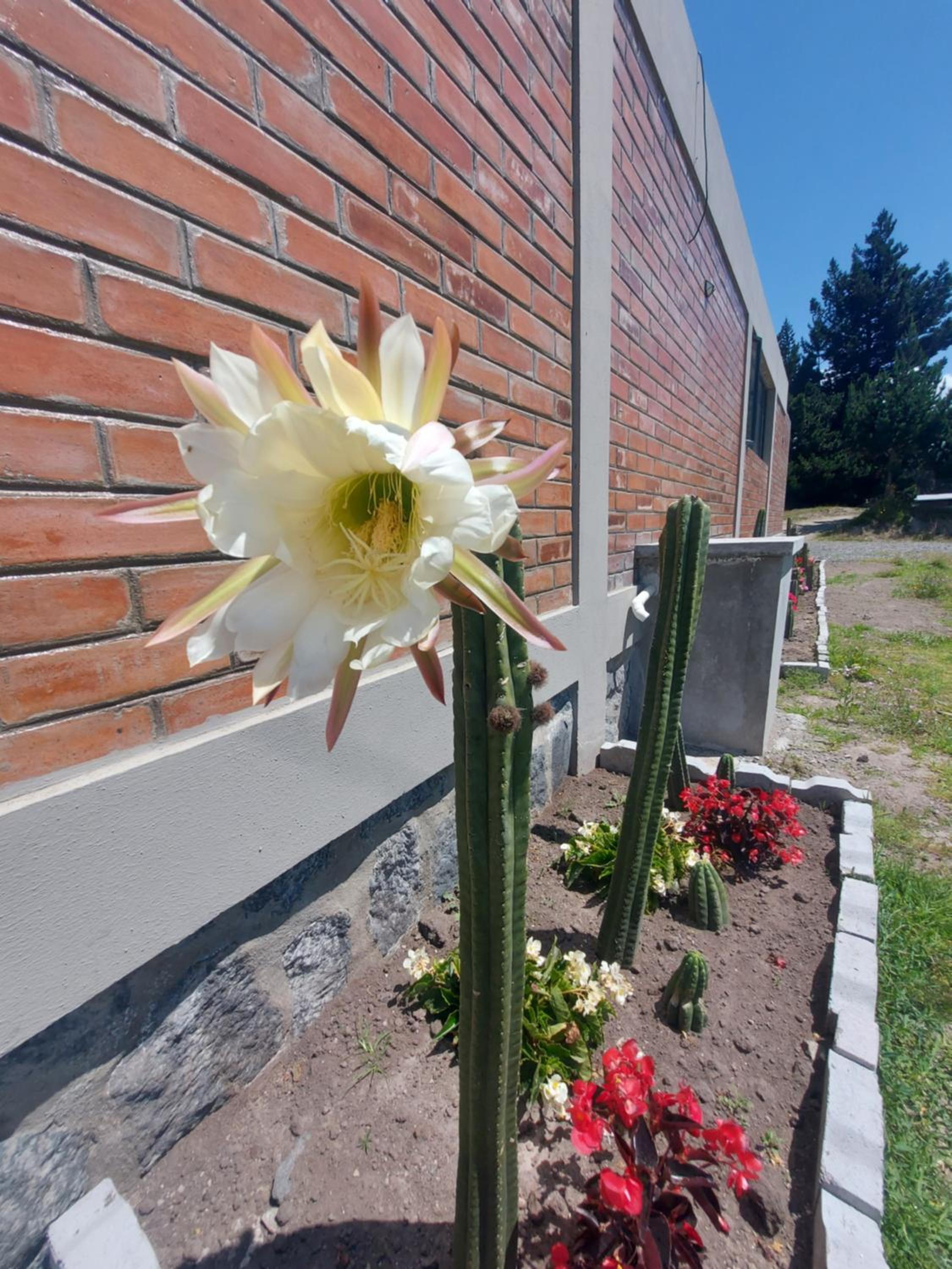 Photo 40