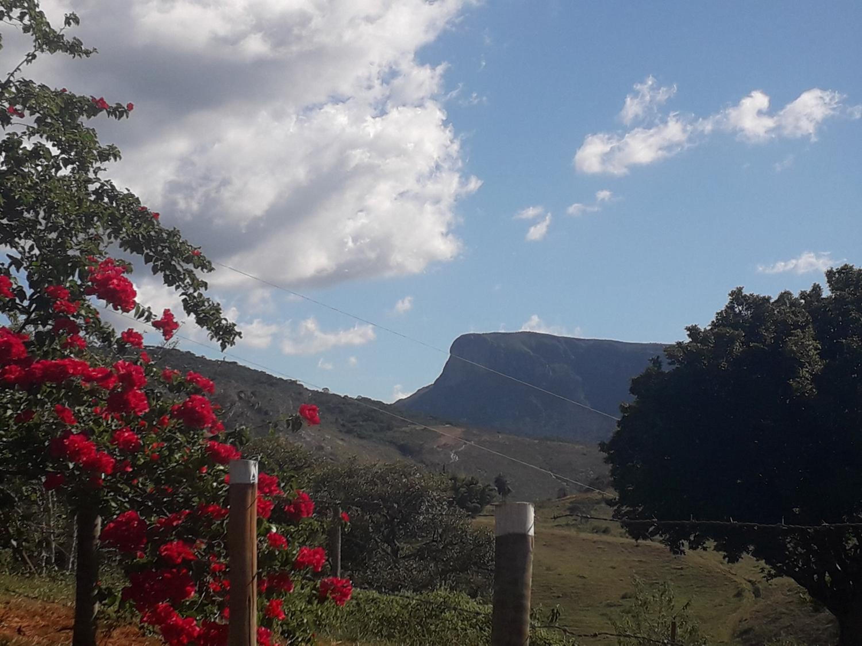 Sítio, Casa grande, bem espaçosa, em Itambe do Mato Dentro, Cabeça de Boi
