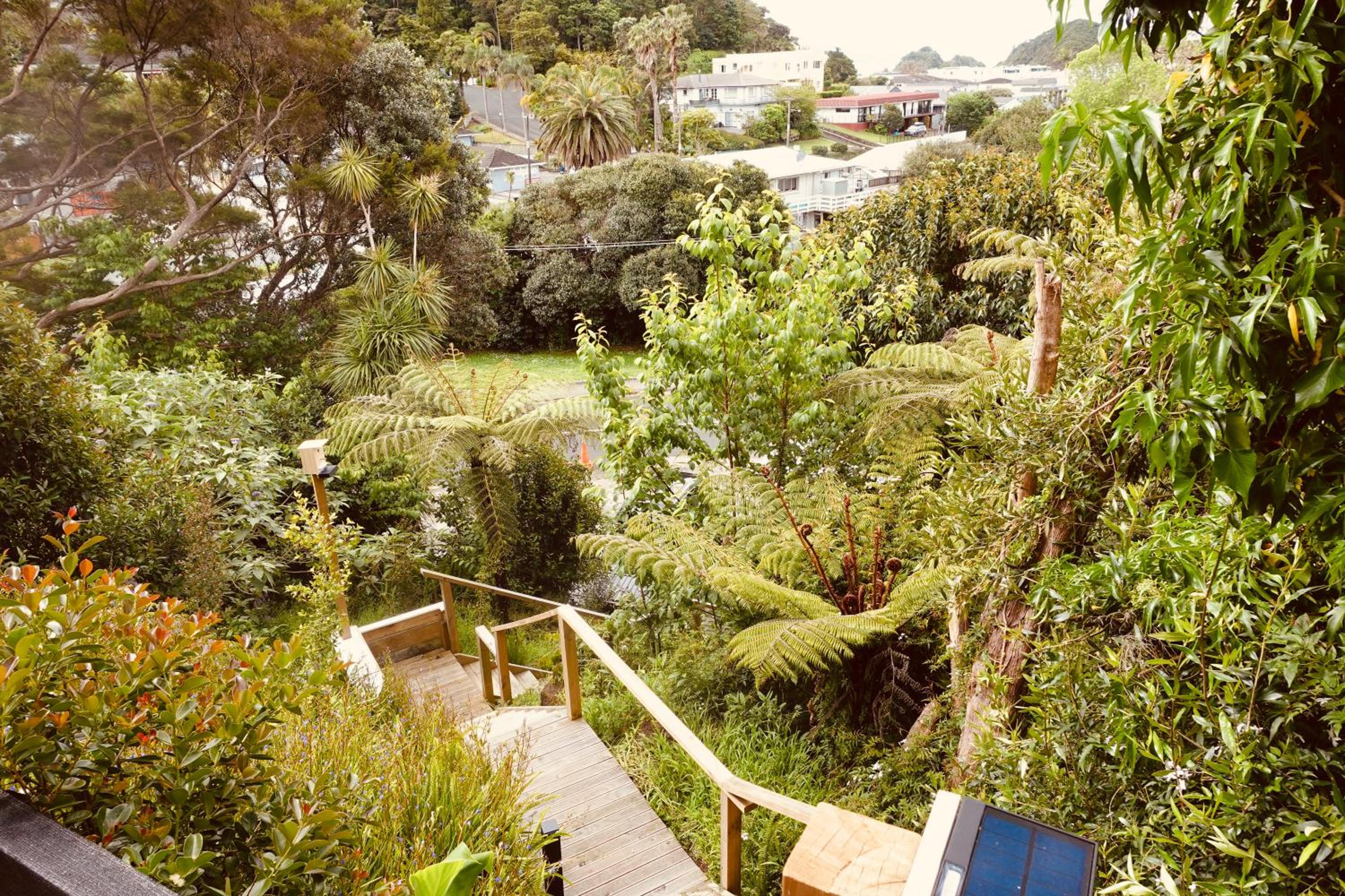 Paihia Central Apartments view 4