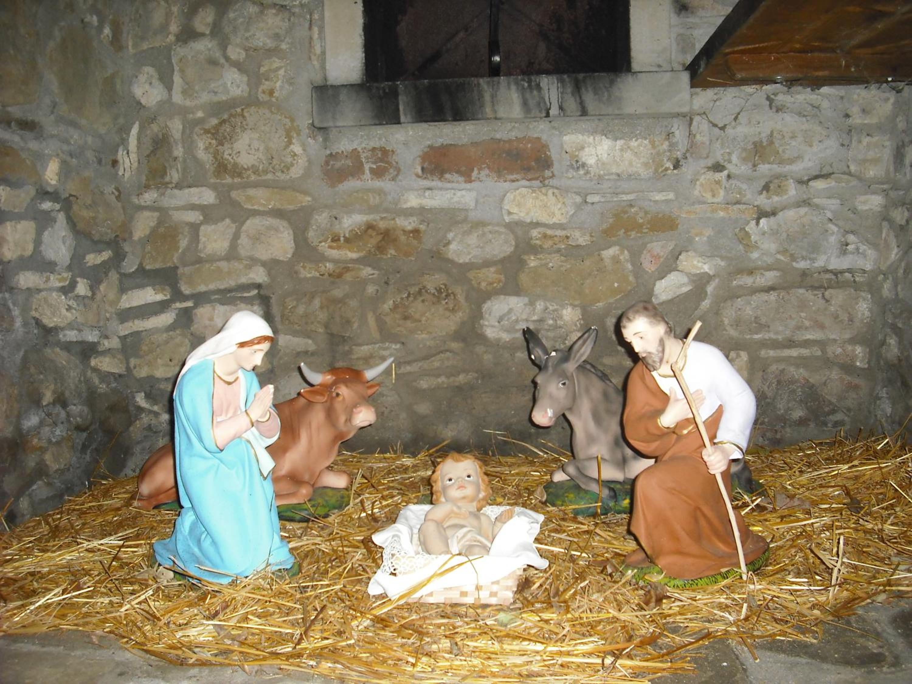 Photo 99