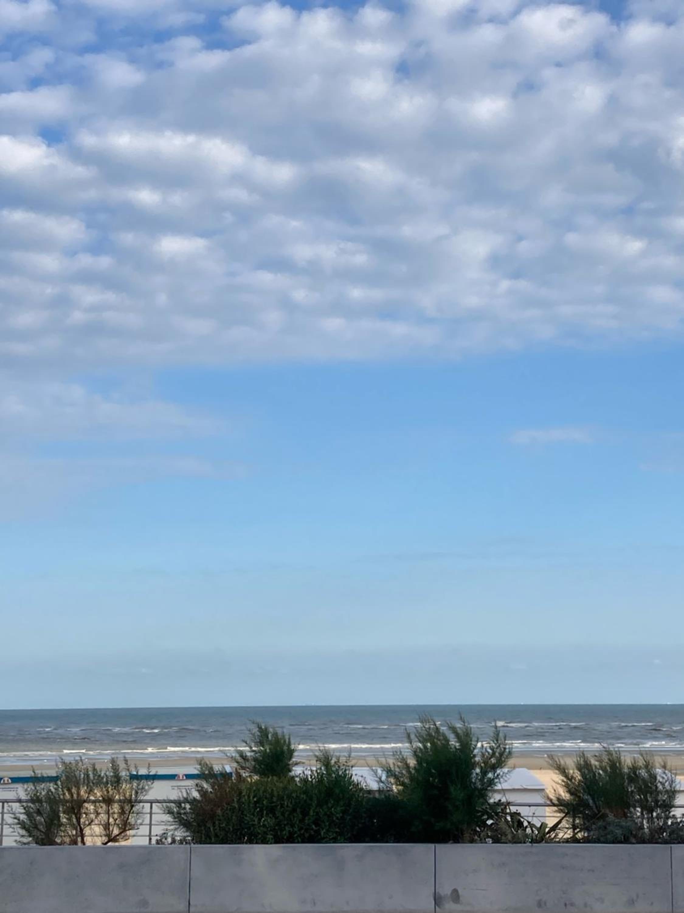 Strandstudio in hartje Koksijde