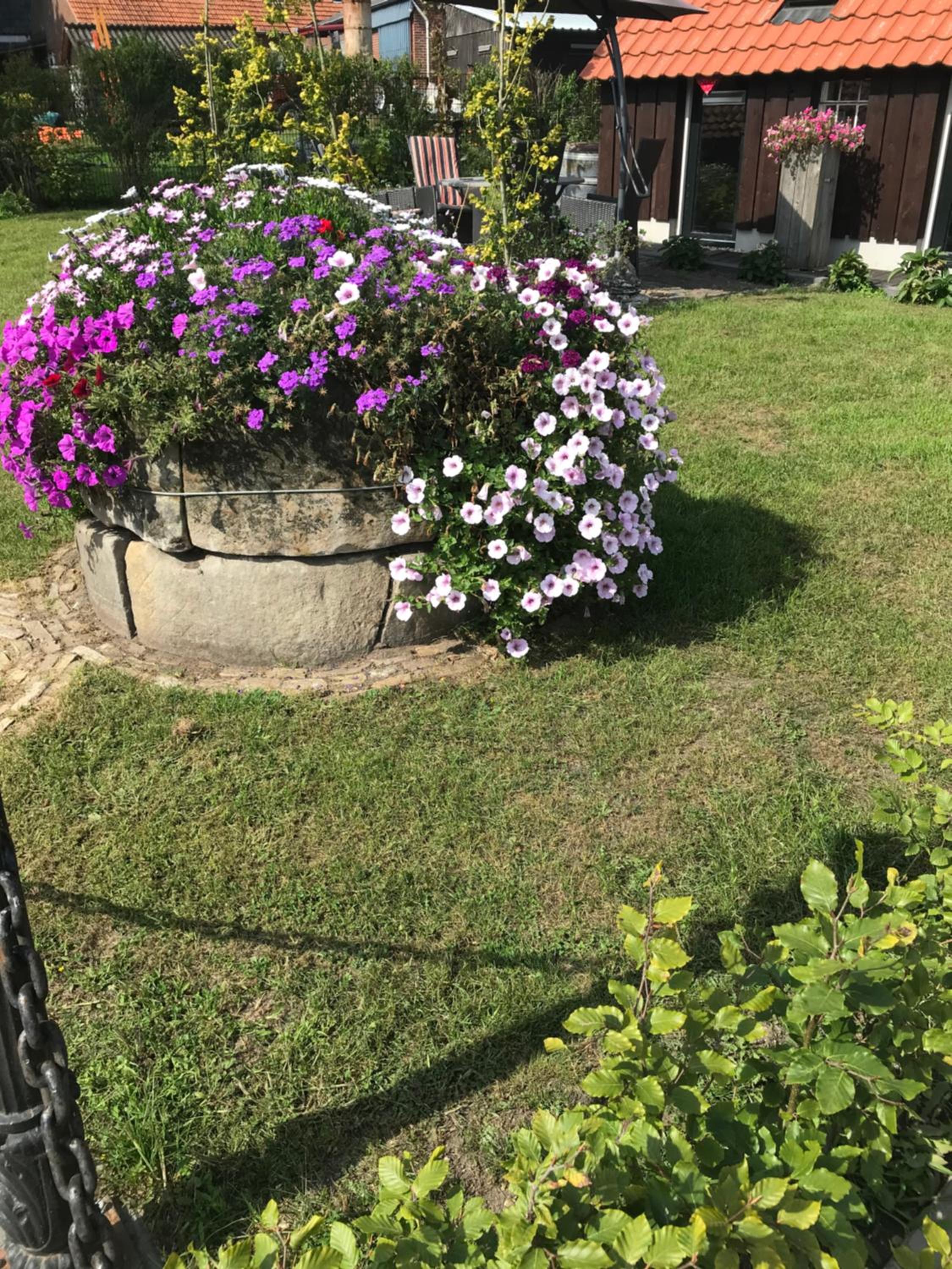 Photo 26
