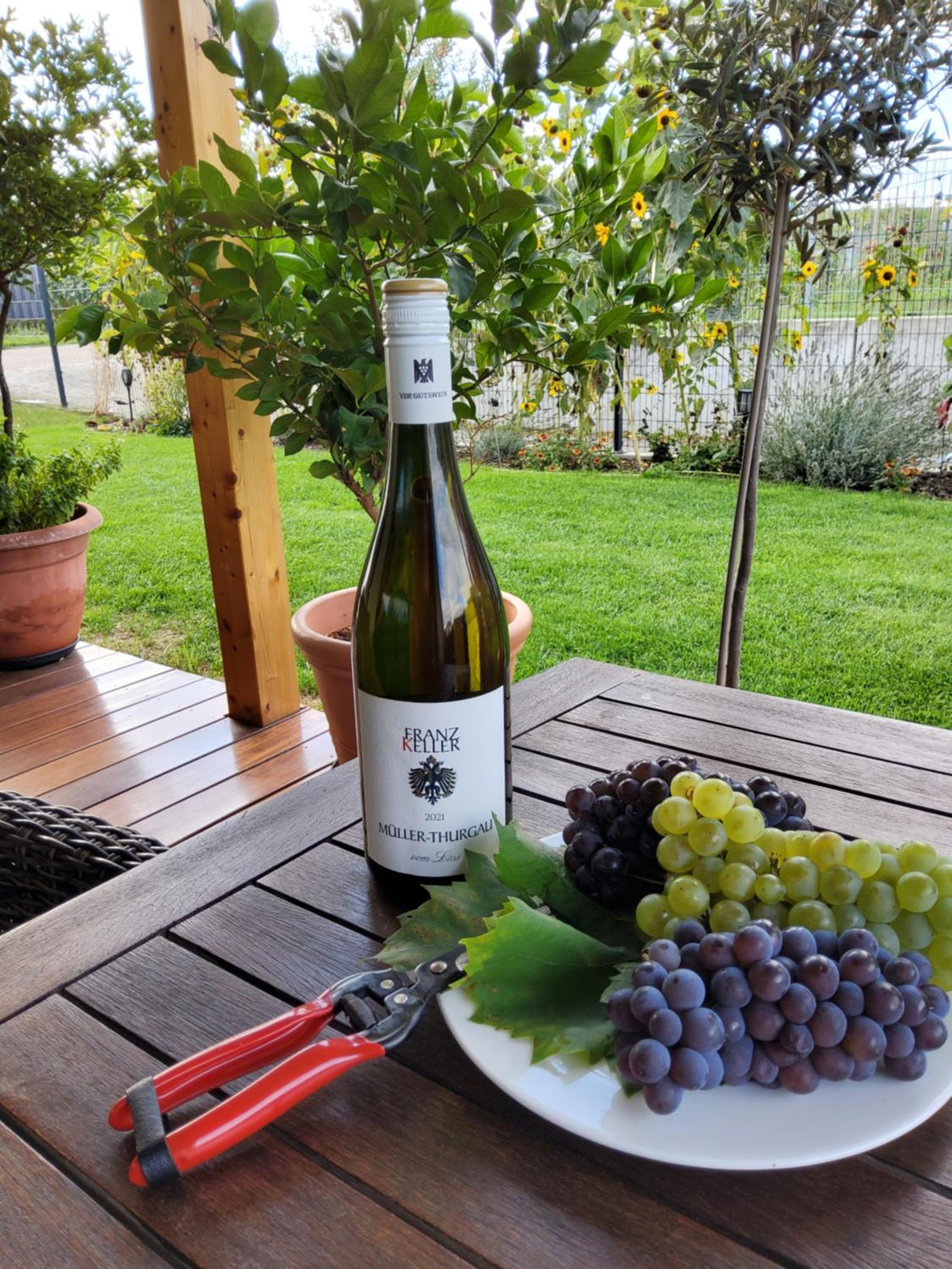 Gästehaus Casa Luna - Paradiesische Ferienwohnungen am Kaiserstuhl!
