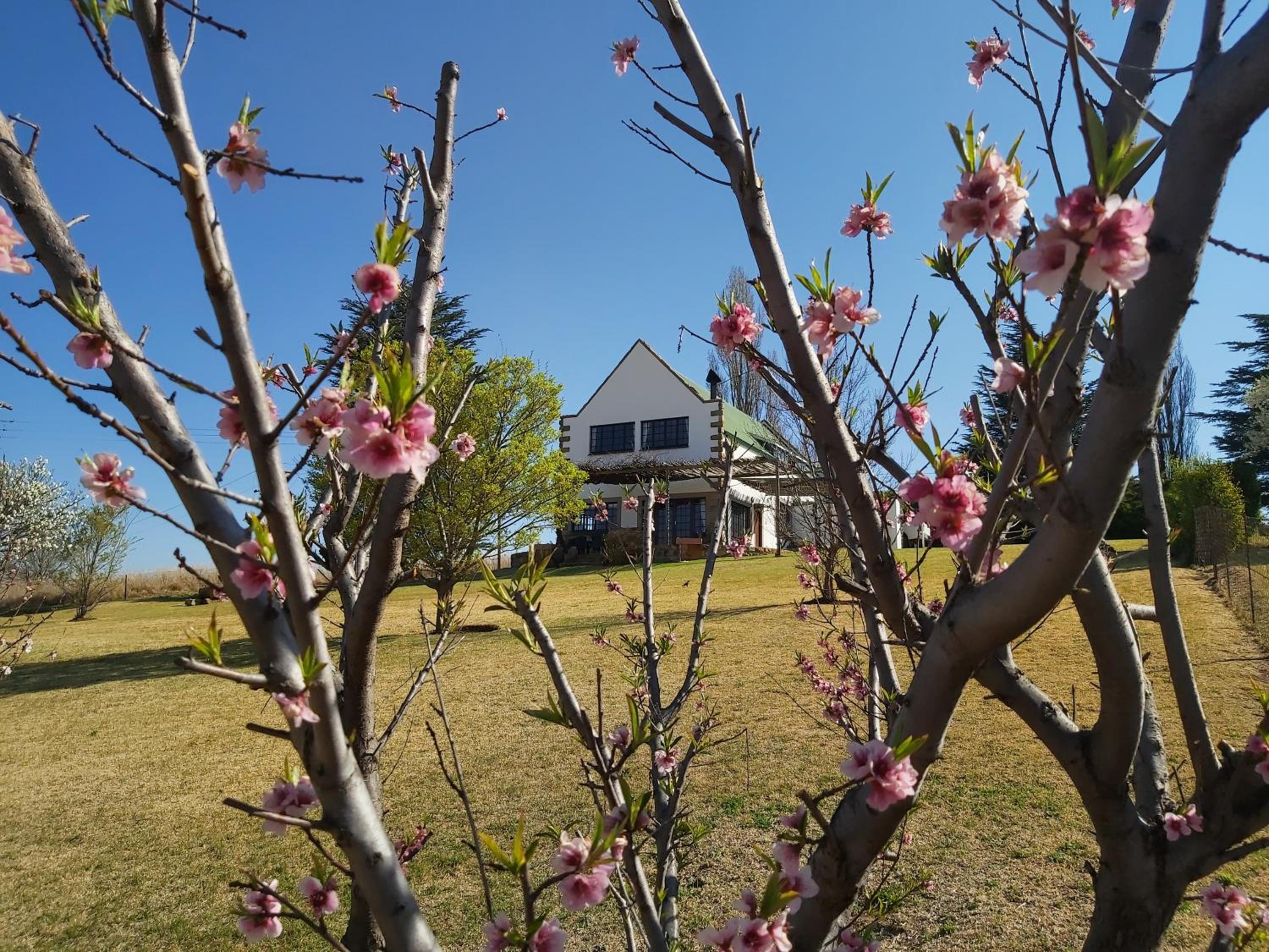 At Meerkat and Rehoboth Self Catering Lodges, Clarens view 5