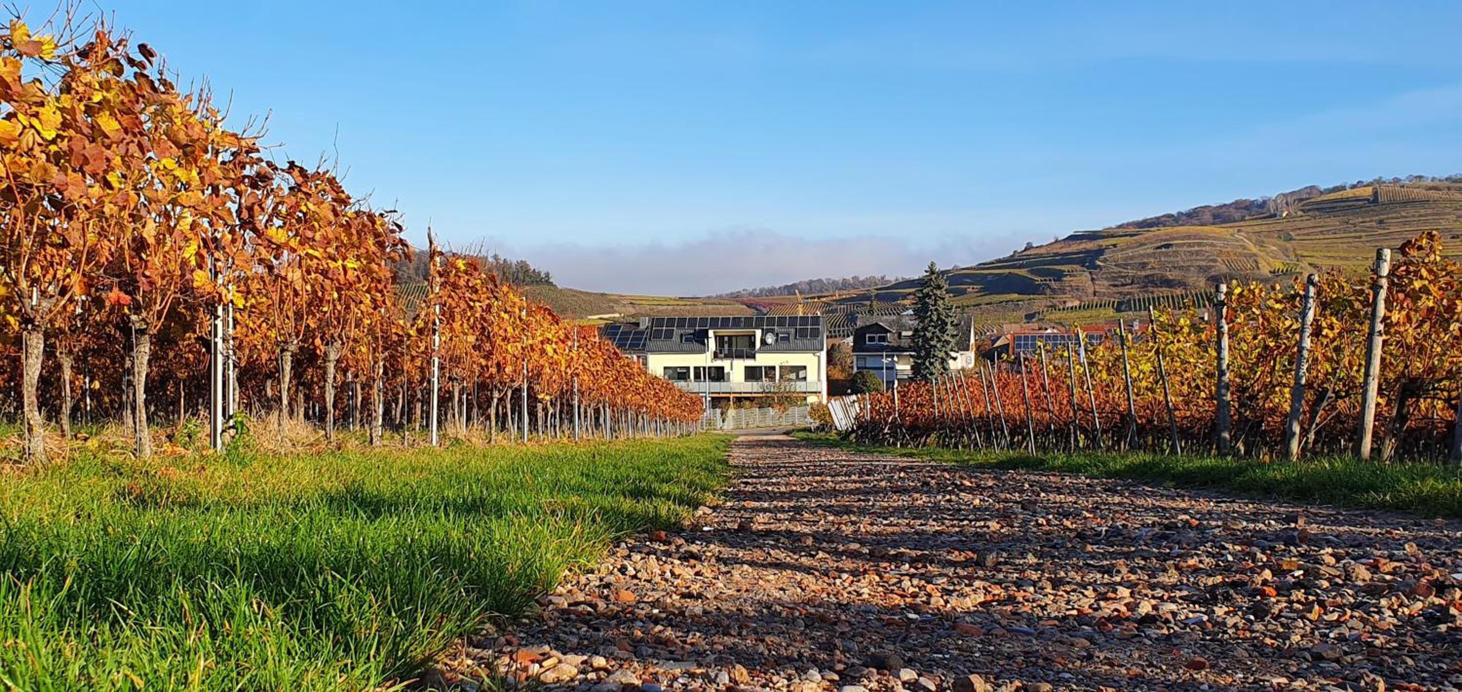 Gästehaus Casa Luna - Paradiesische Ferienwohnungen am Kaiserstuhl!