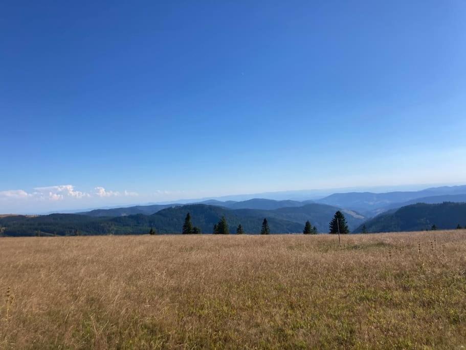 Feldberg Apartment - direkt an der Skipiste - mit Sauna