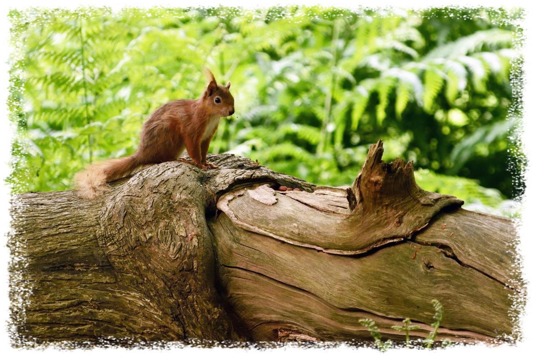 Photo 24