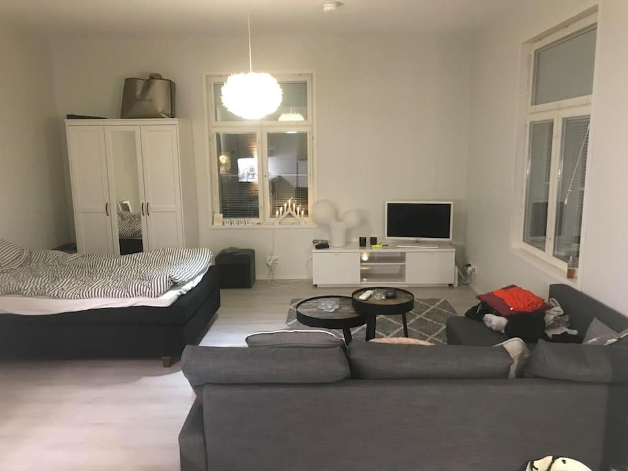 Valoisa avara yksiö loistavalla sijannilla view 2