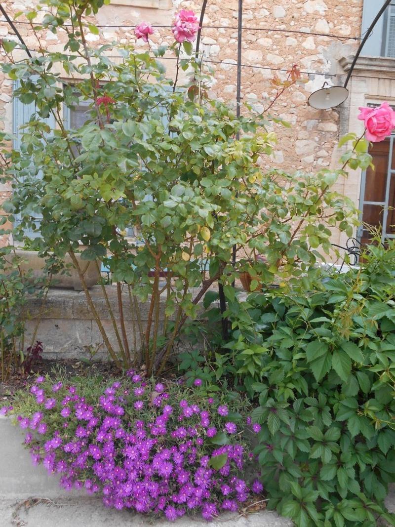 Photo 36