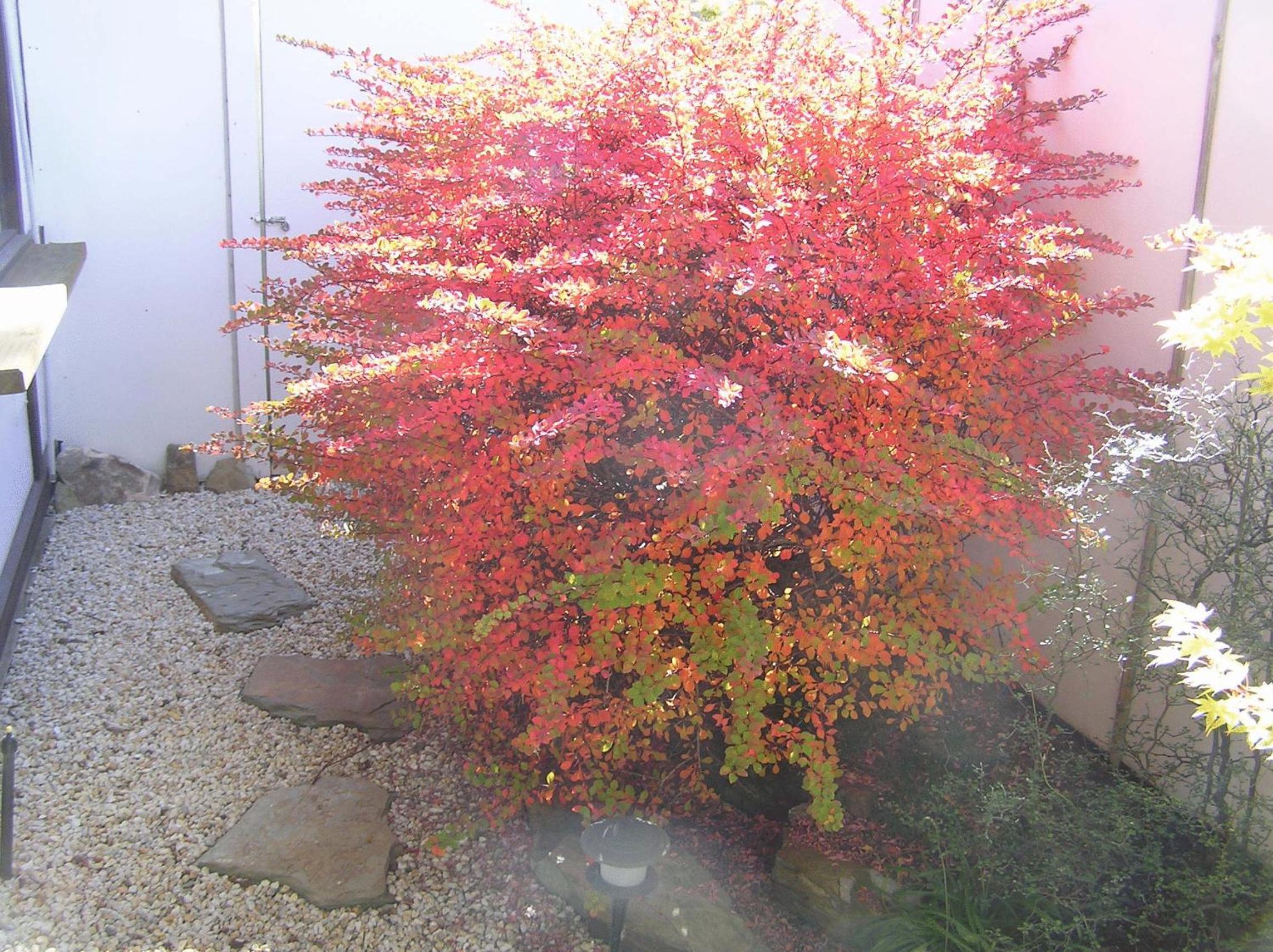 Shizuka Ryokan Japanese Country Spa & Wellness Retreat