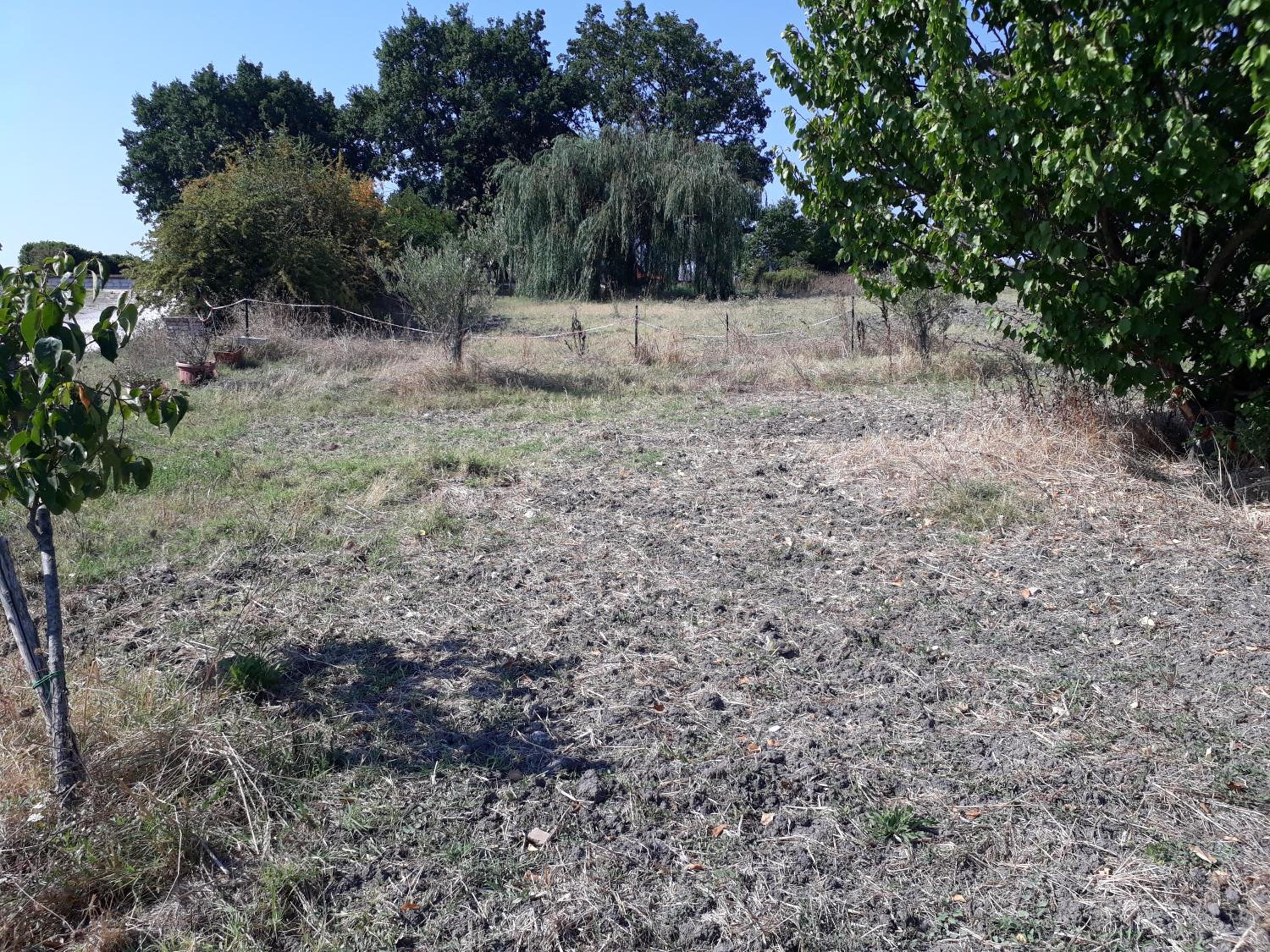 Il Fortilizio view 3