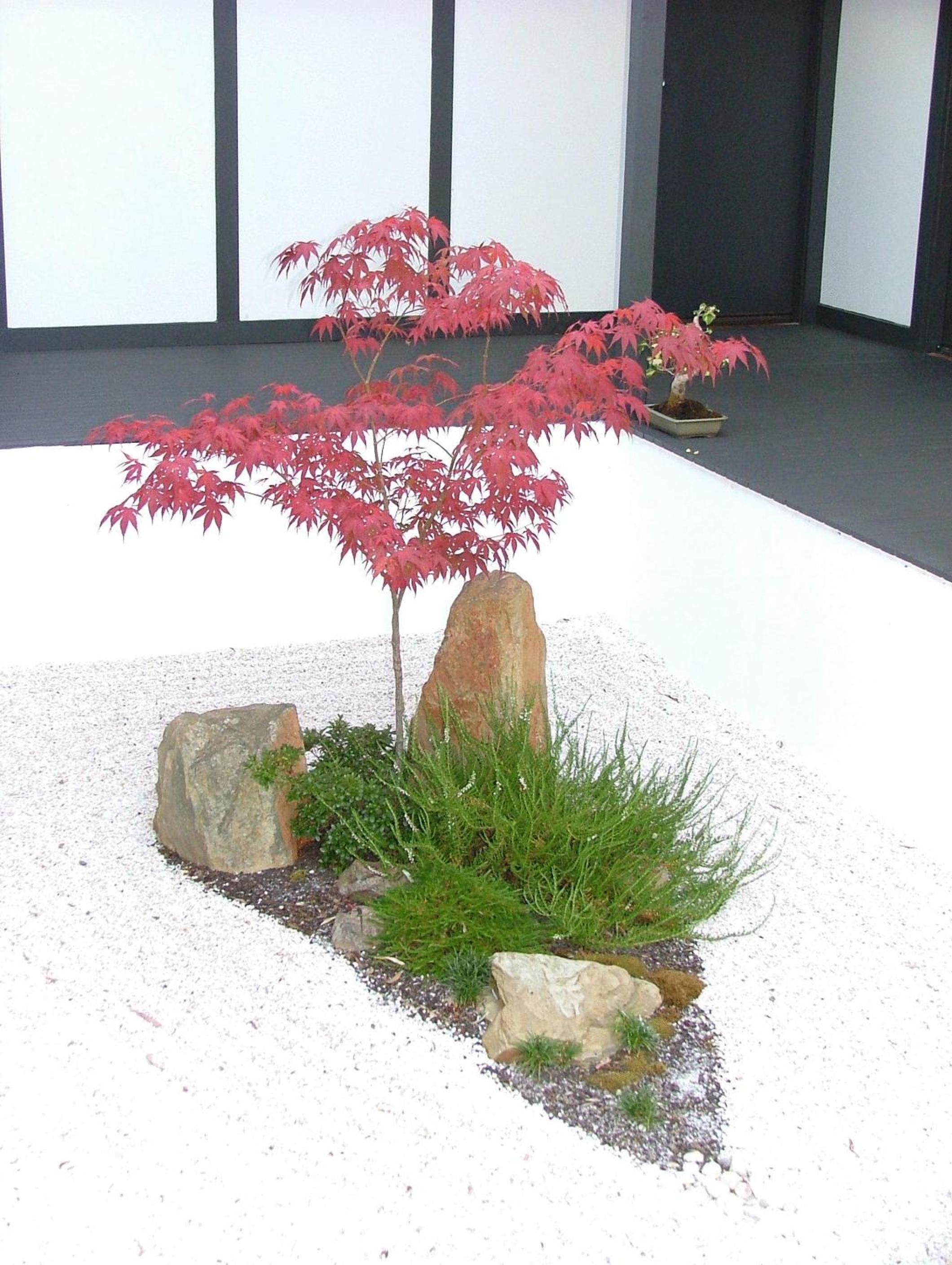 Shizuka Ryokan Japanese Country Spa & Wellness Retreat