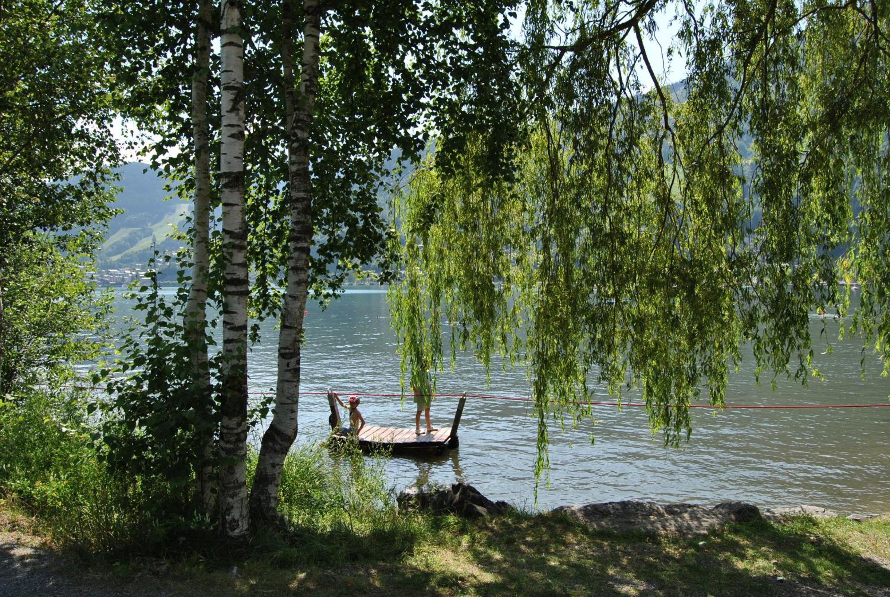 Photo 44