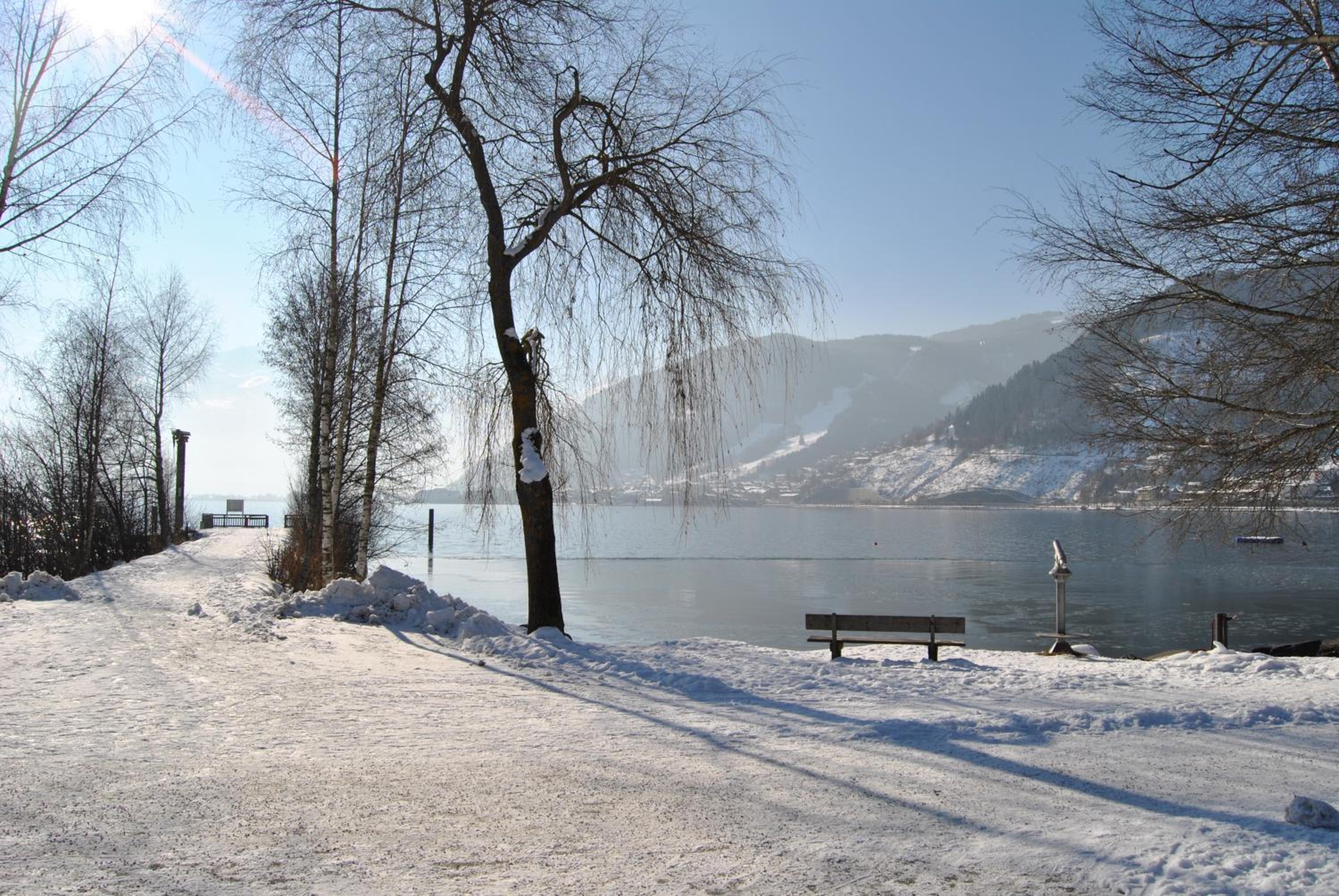 Photo 47