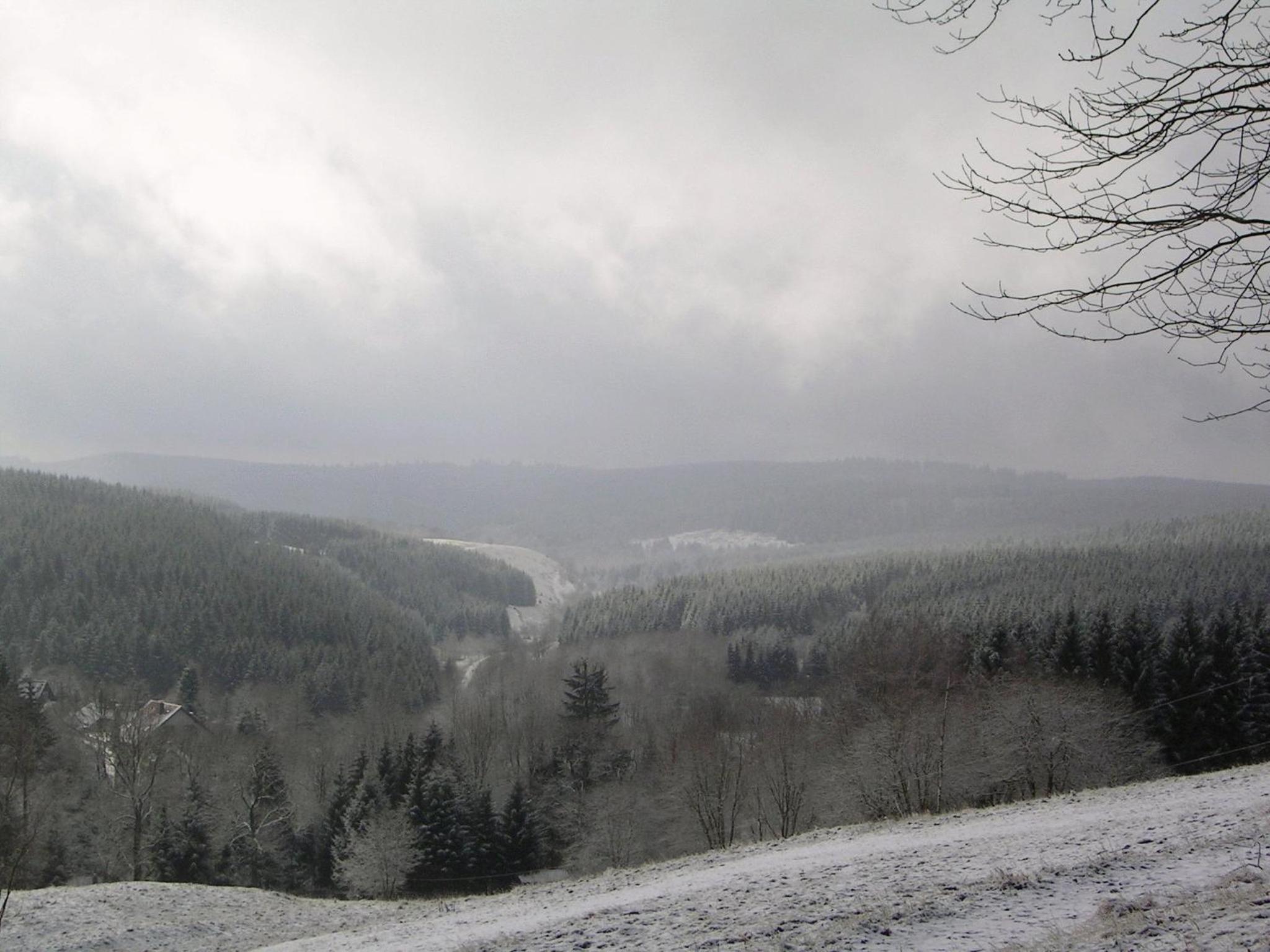 Photo 49