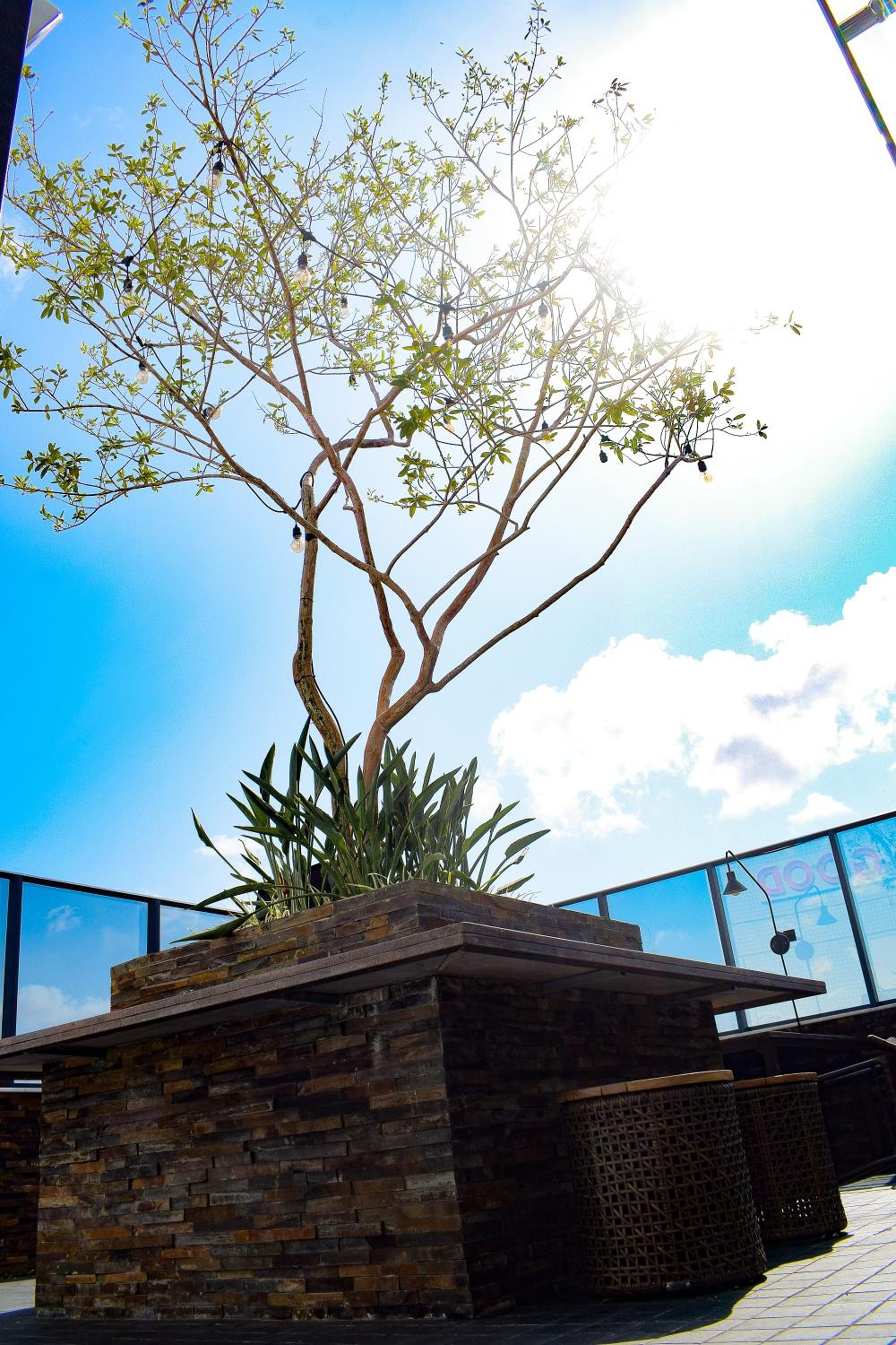 roof