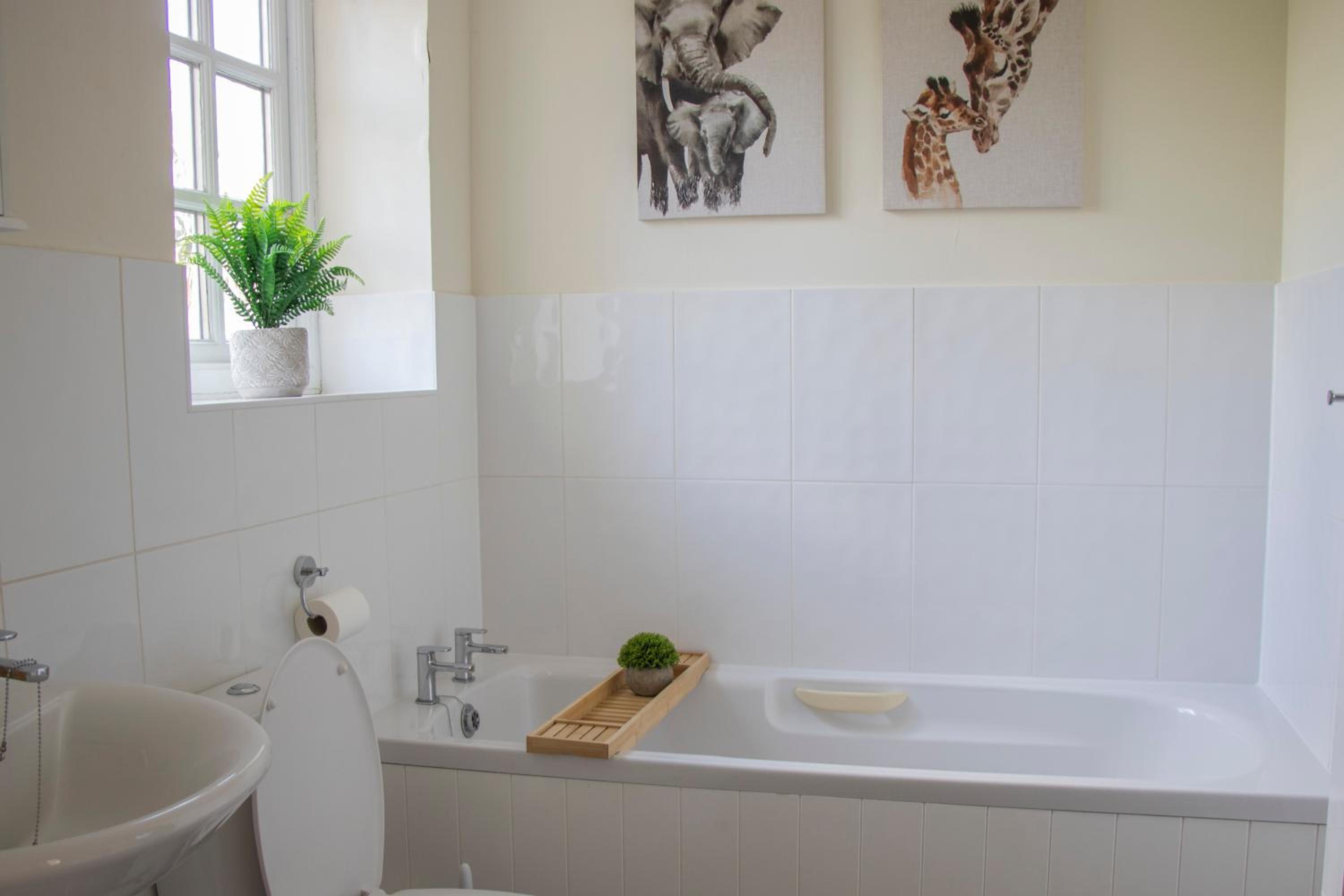 Lovely 3-bedroom apartment in Colchester view 3