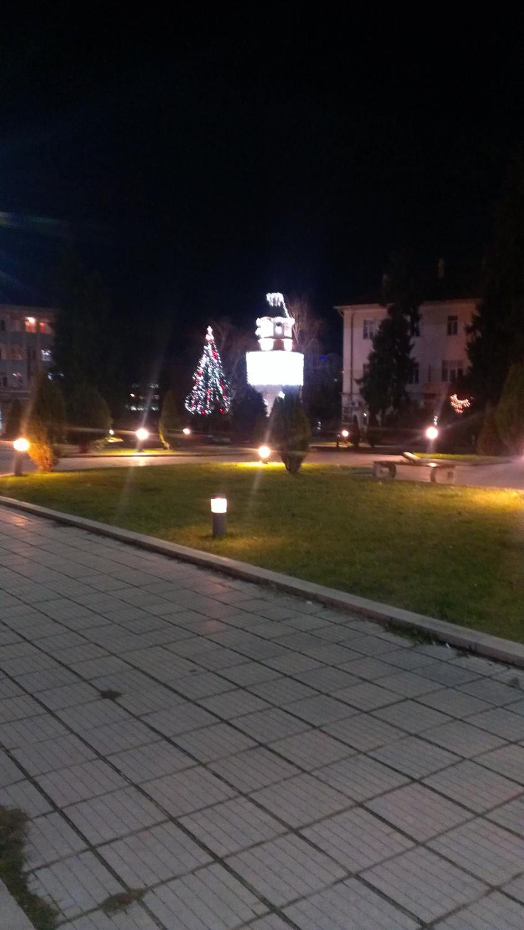 Photo 46