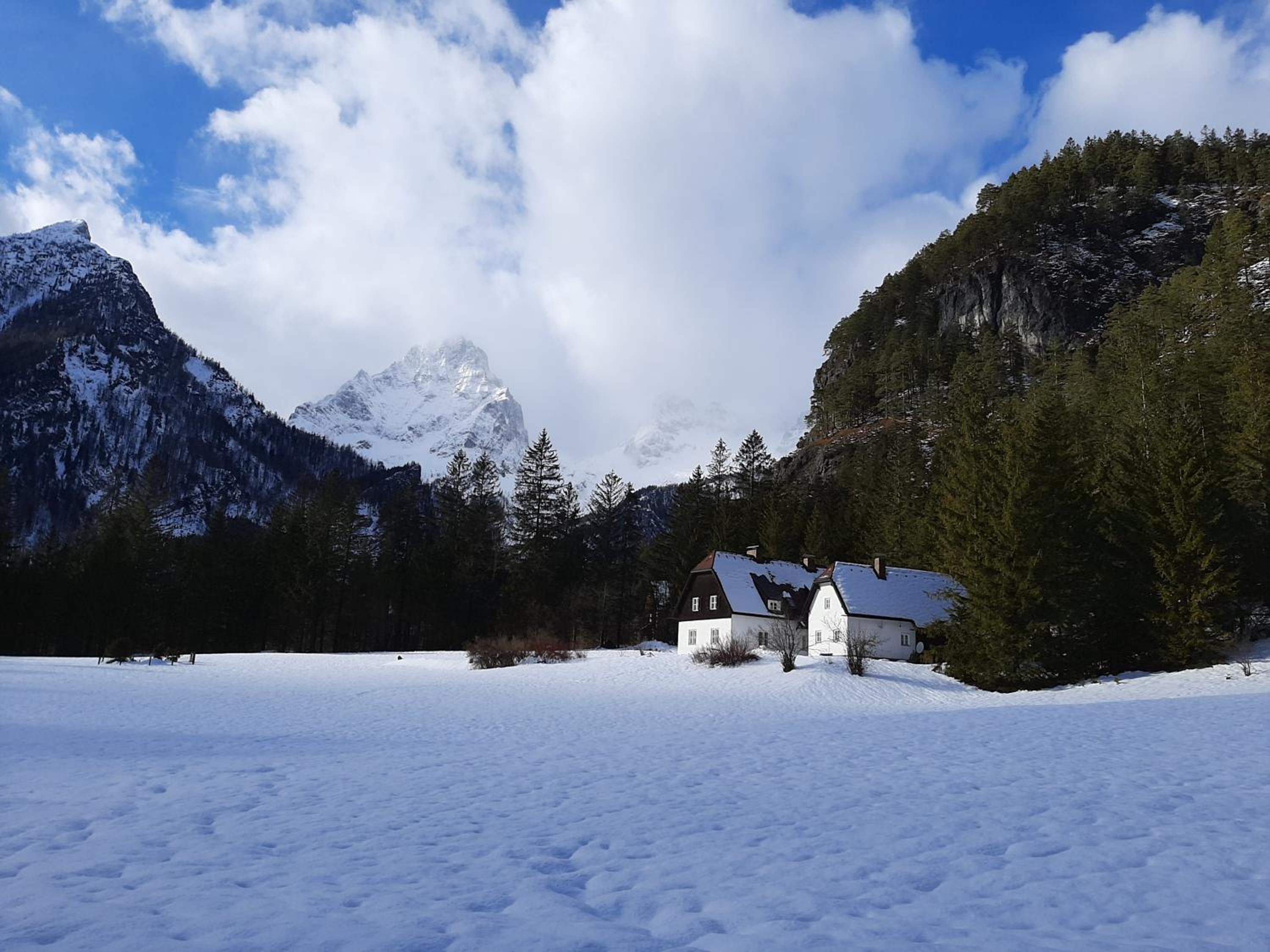 Haasenhaus
