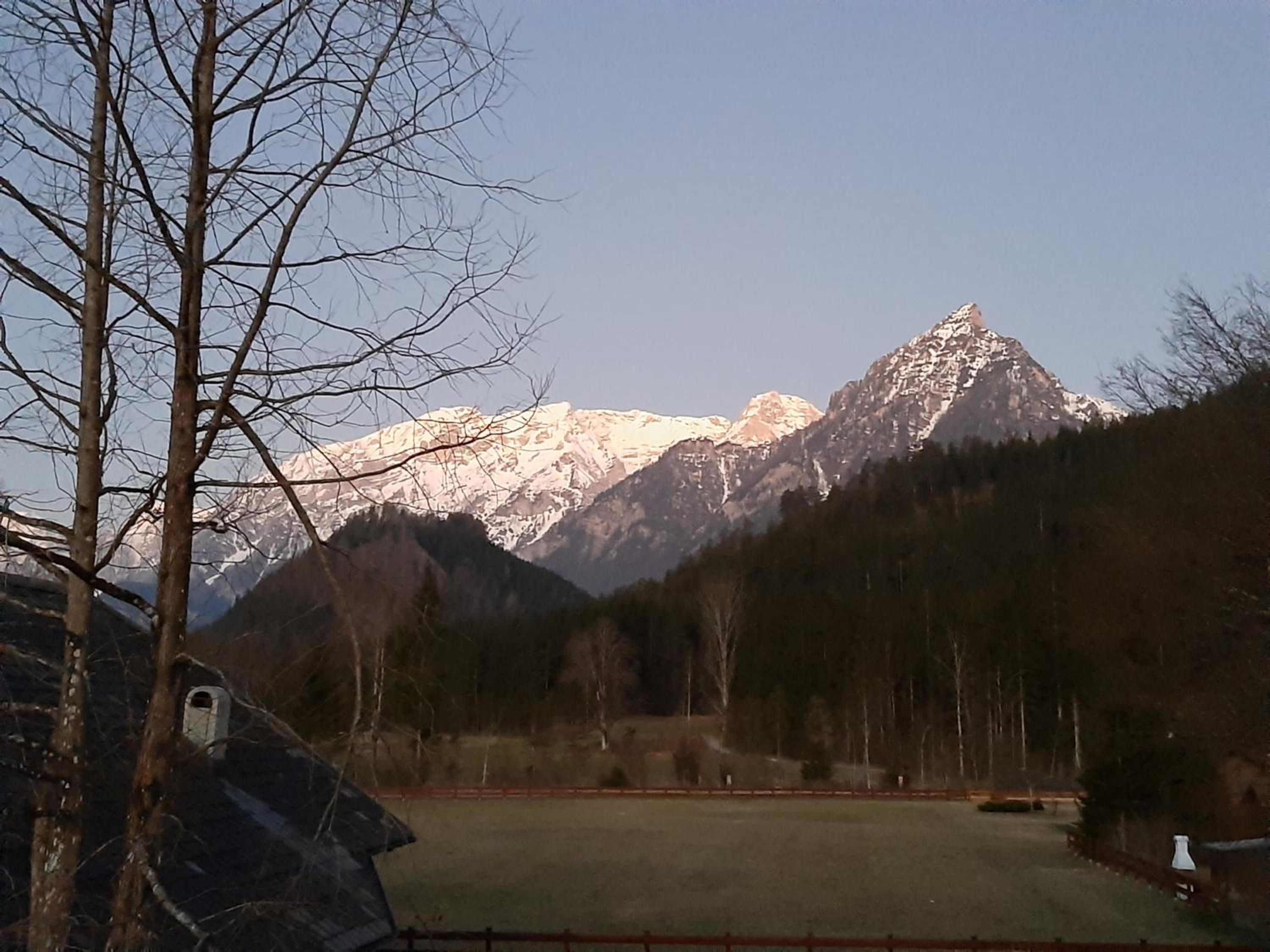 Haasenhaus