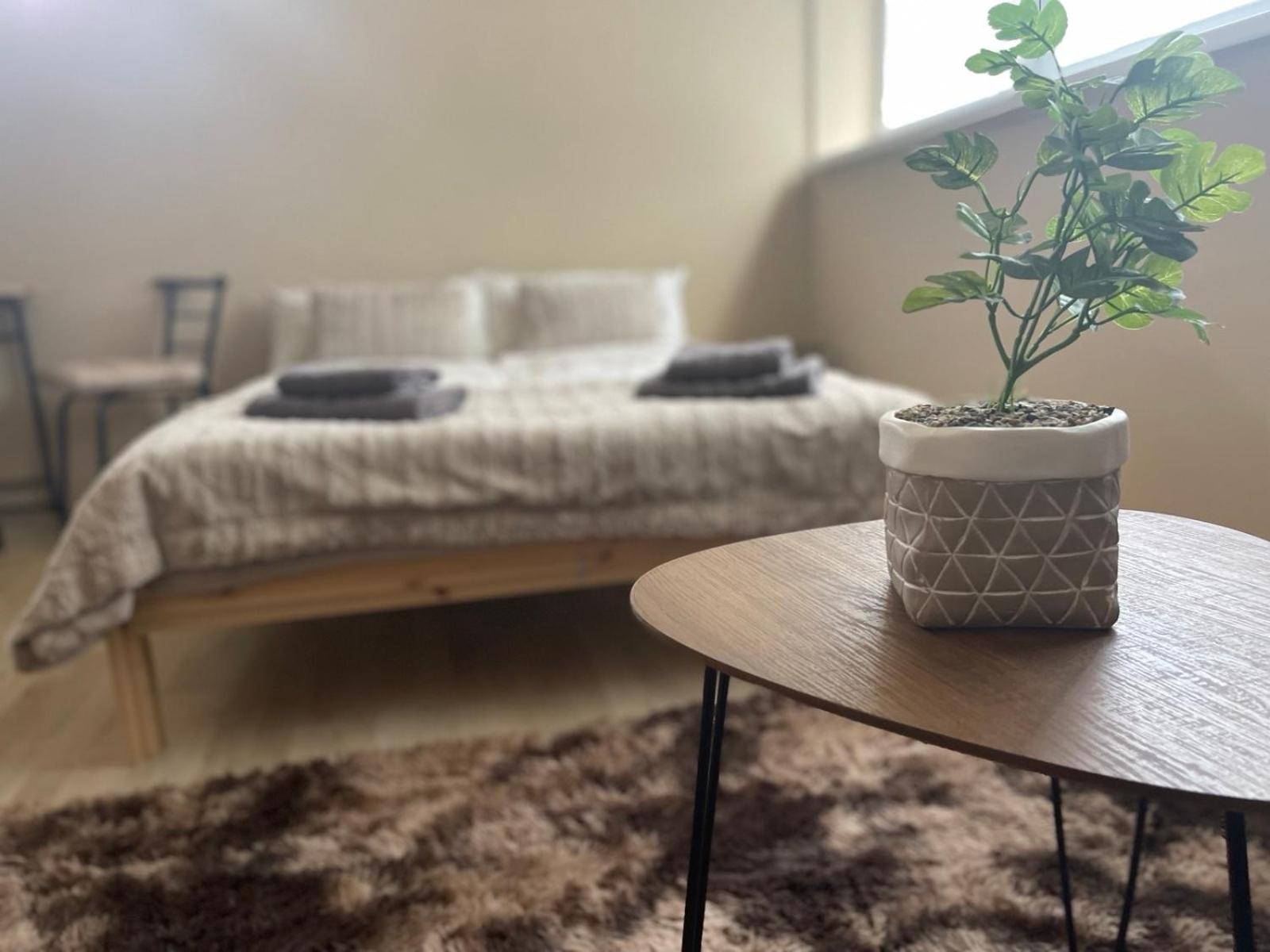 Garzon/ Studio apartment view 4