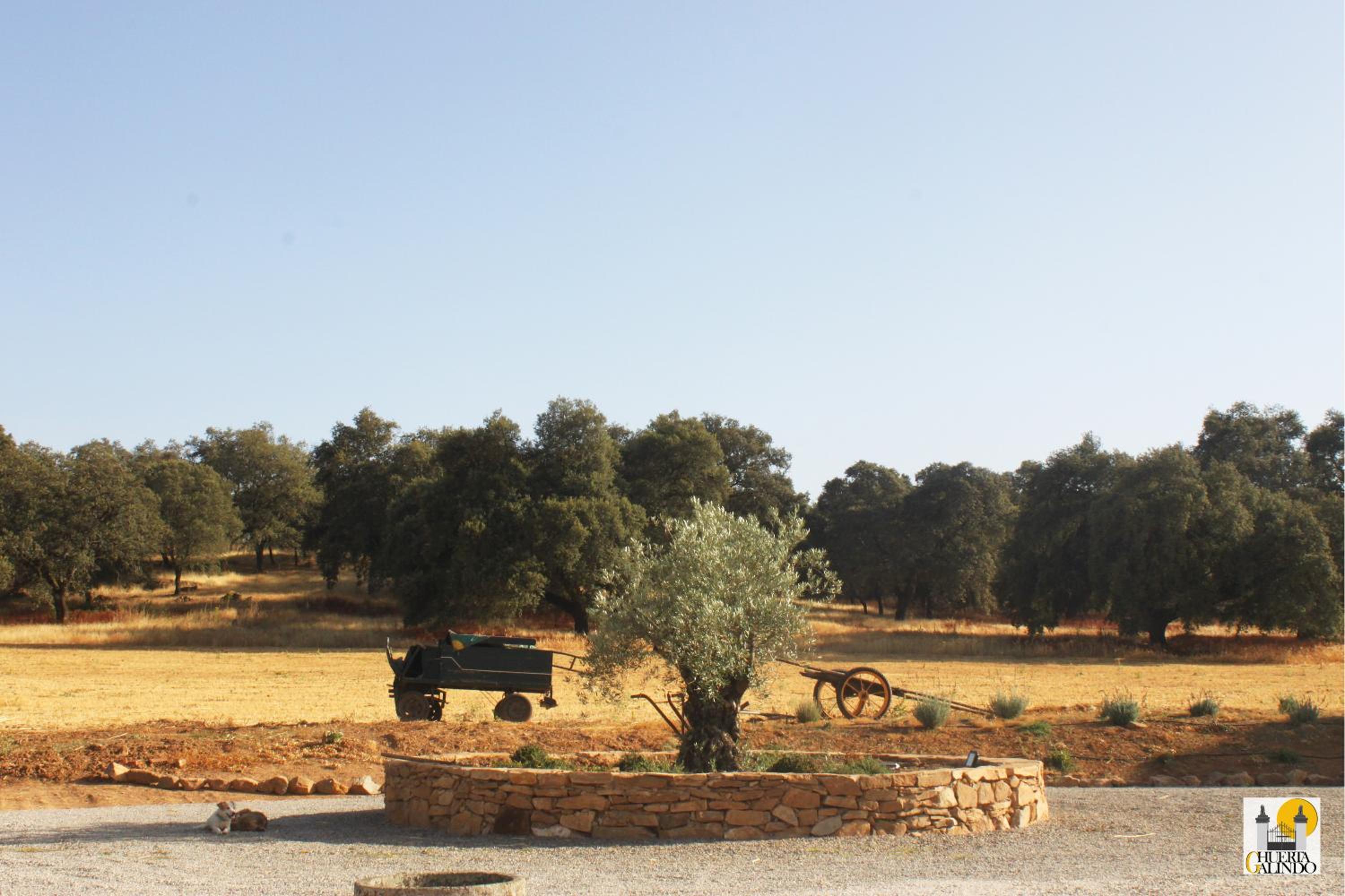 Cortijo Huerta Galindo