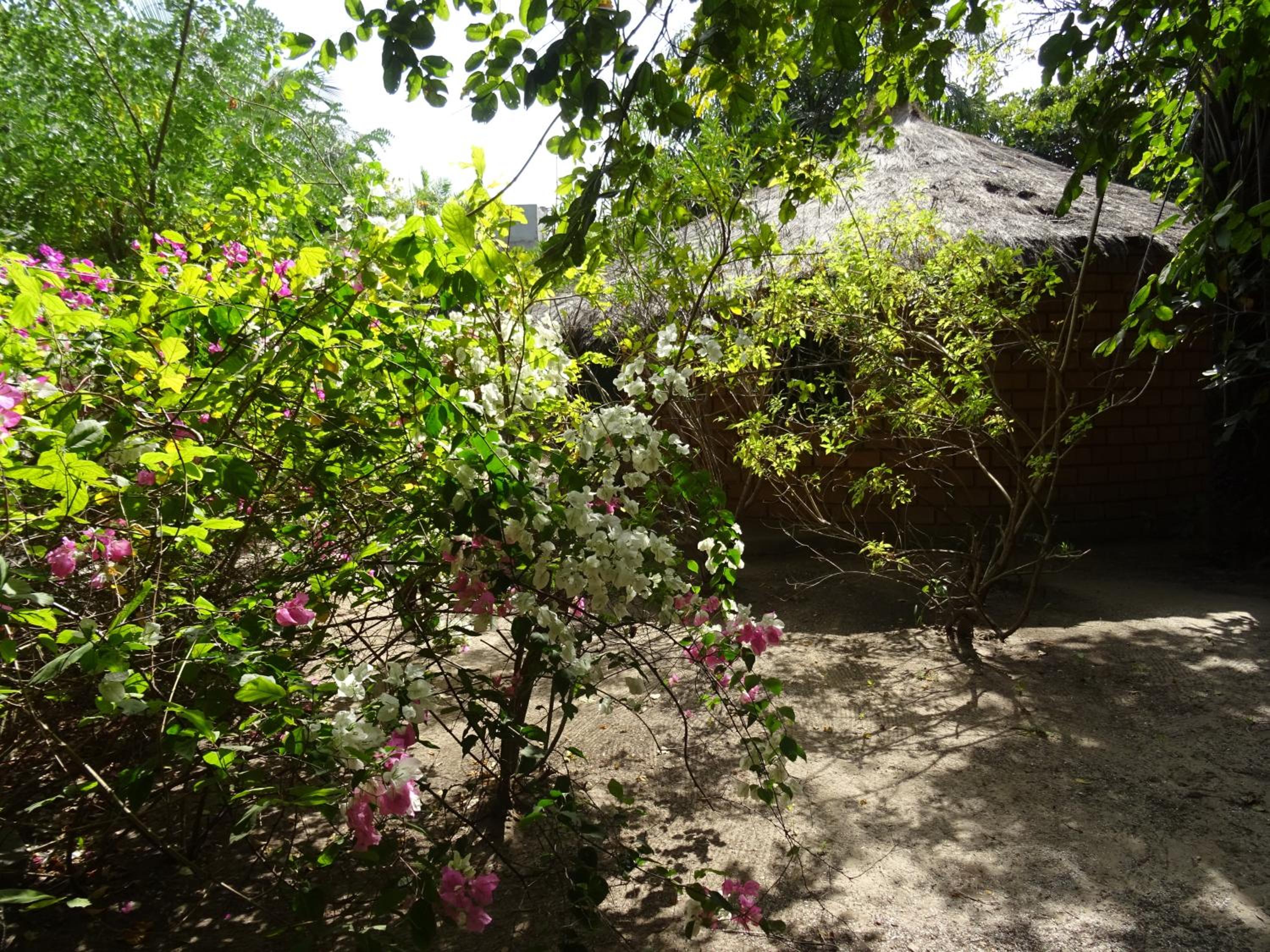 Photo 28
