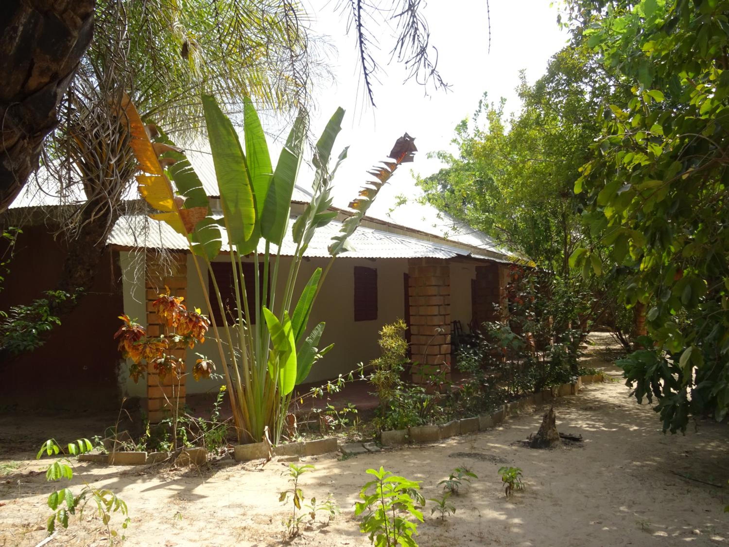 Photo 7