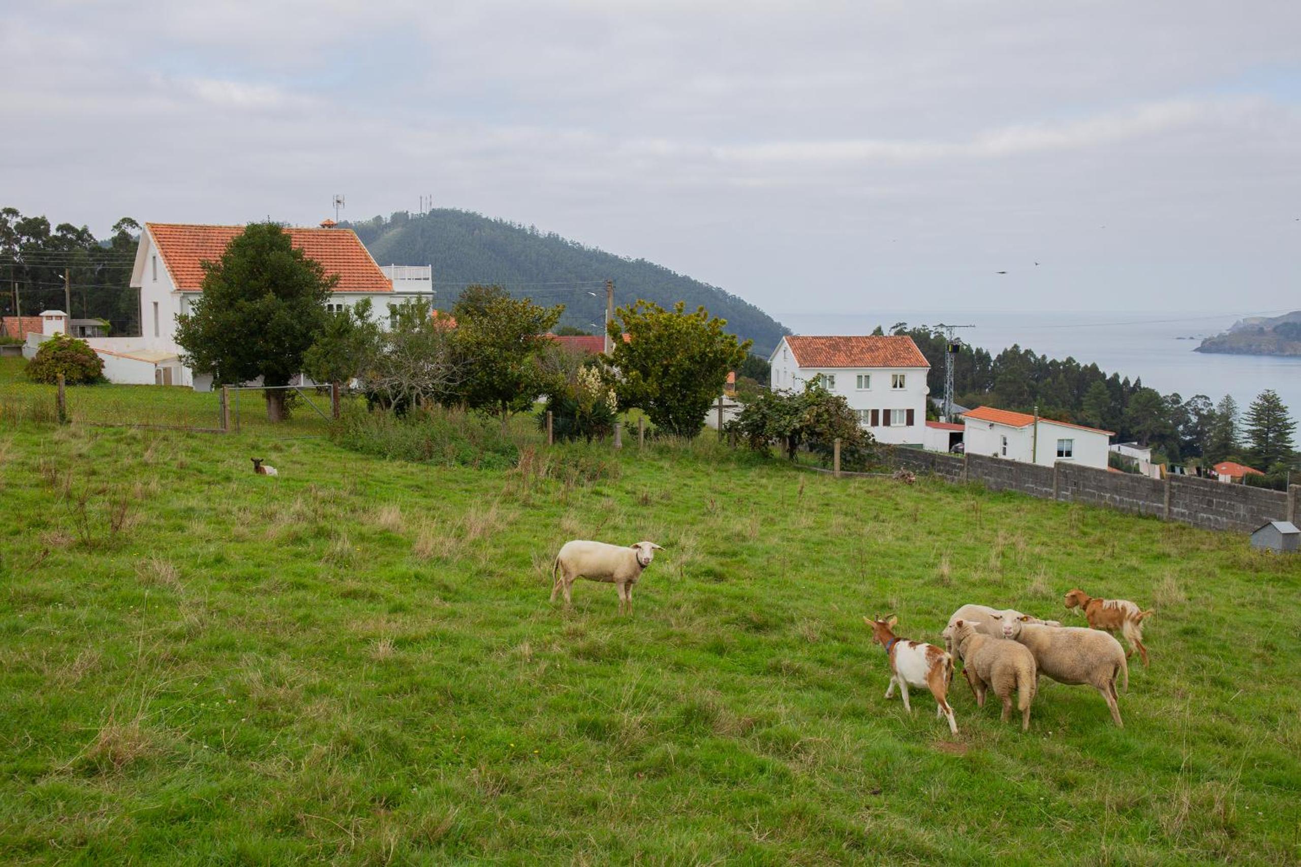 Photo 30
