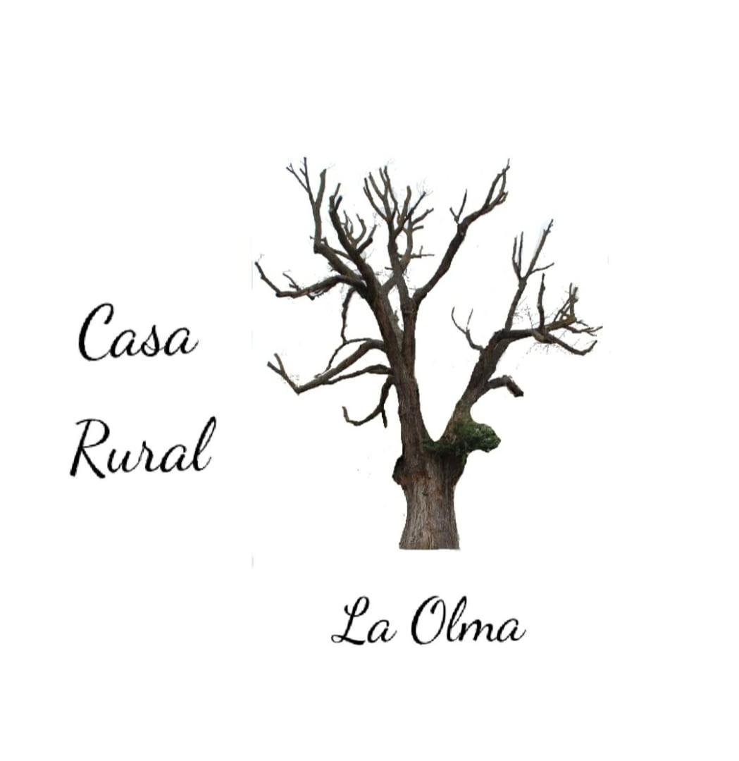 La Olma view 3