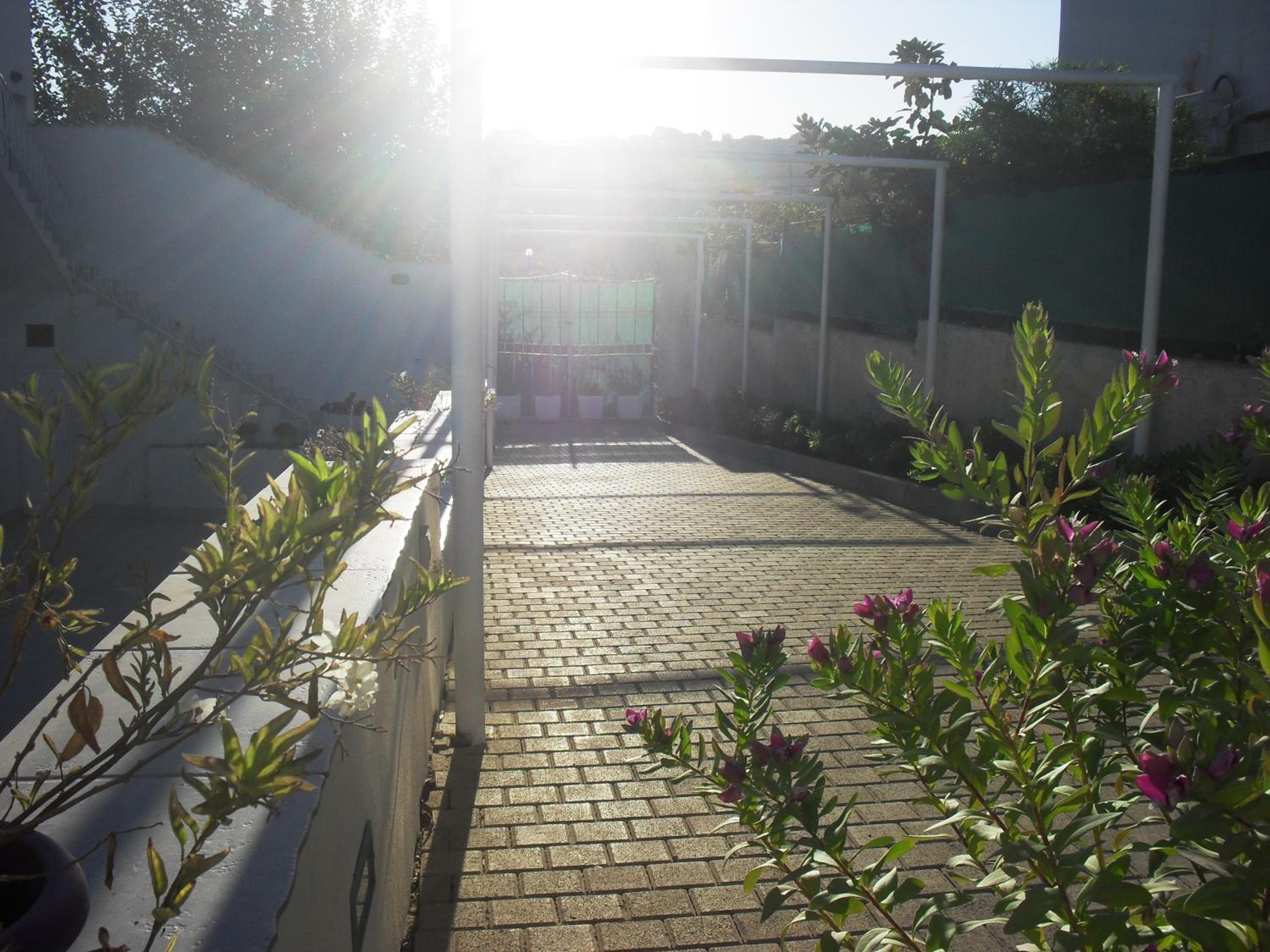 Photo 44
