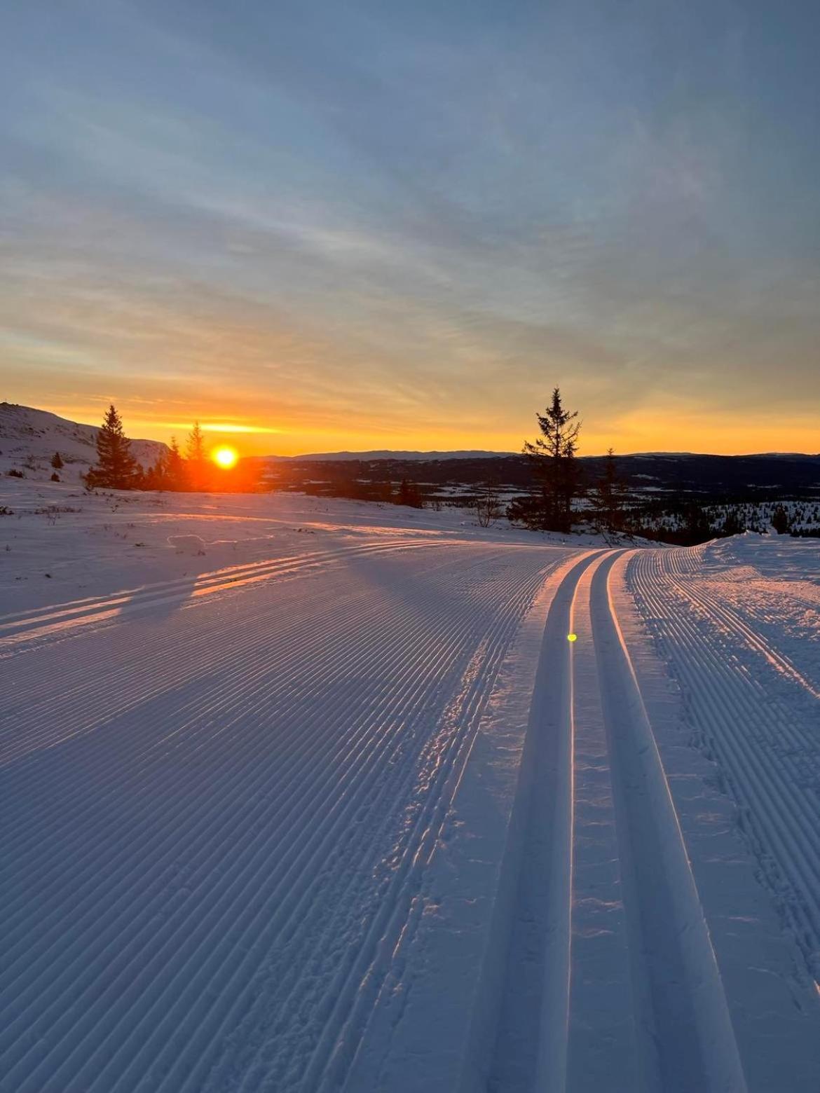 Bualie Golsfjellet