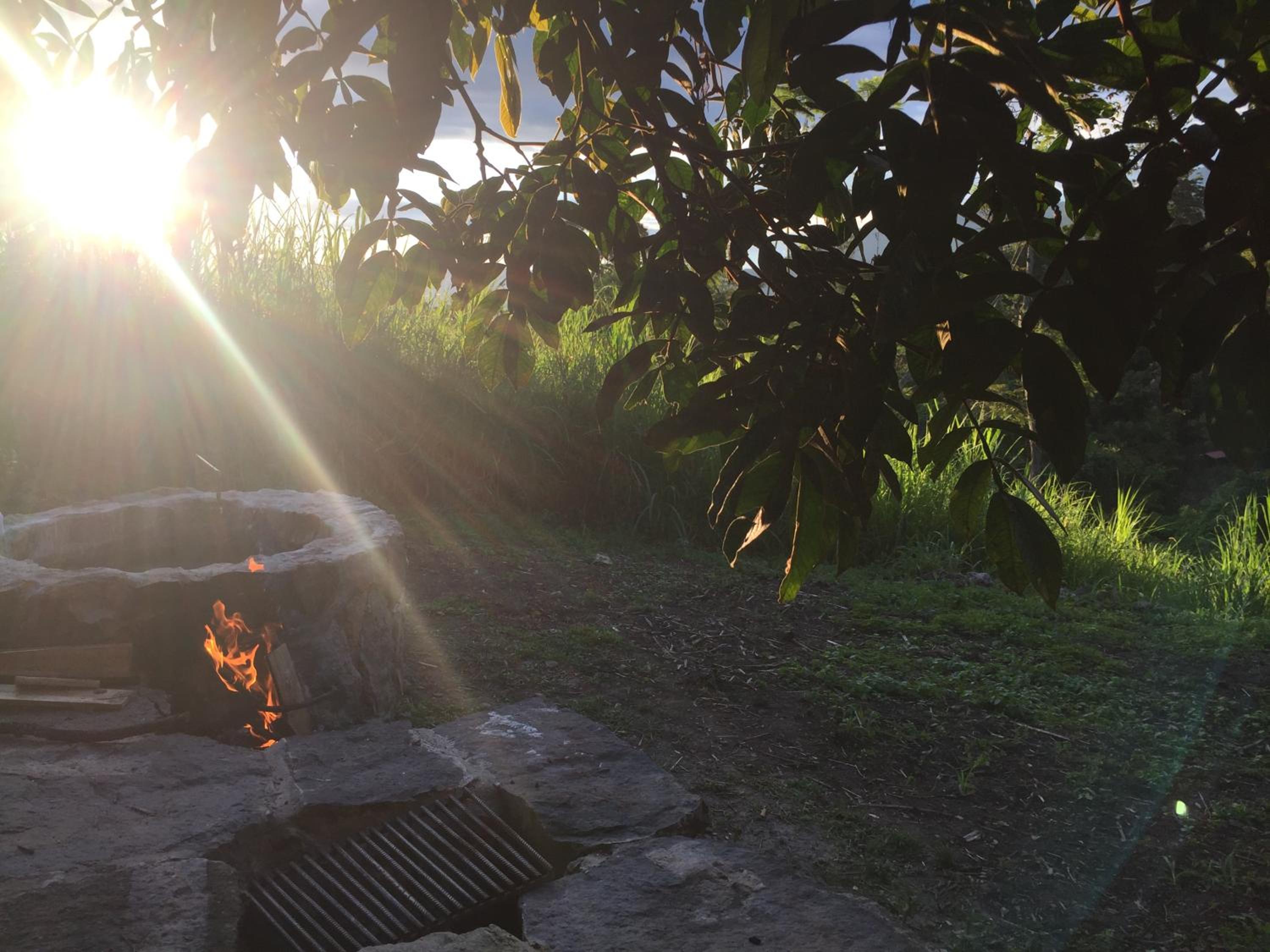 Glamping El Árbol en la Casa