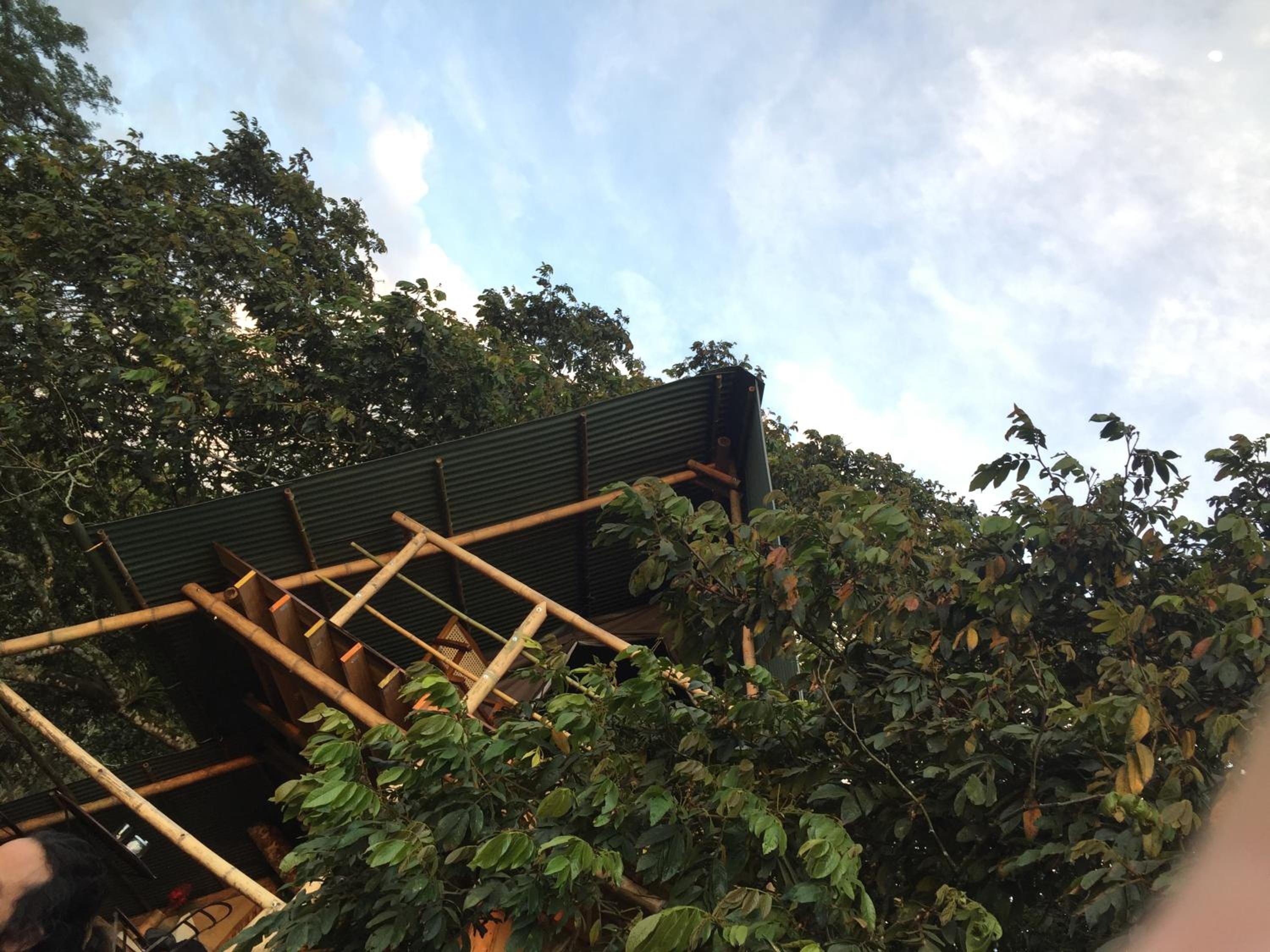 Glamping El Árbol en la Casa