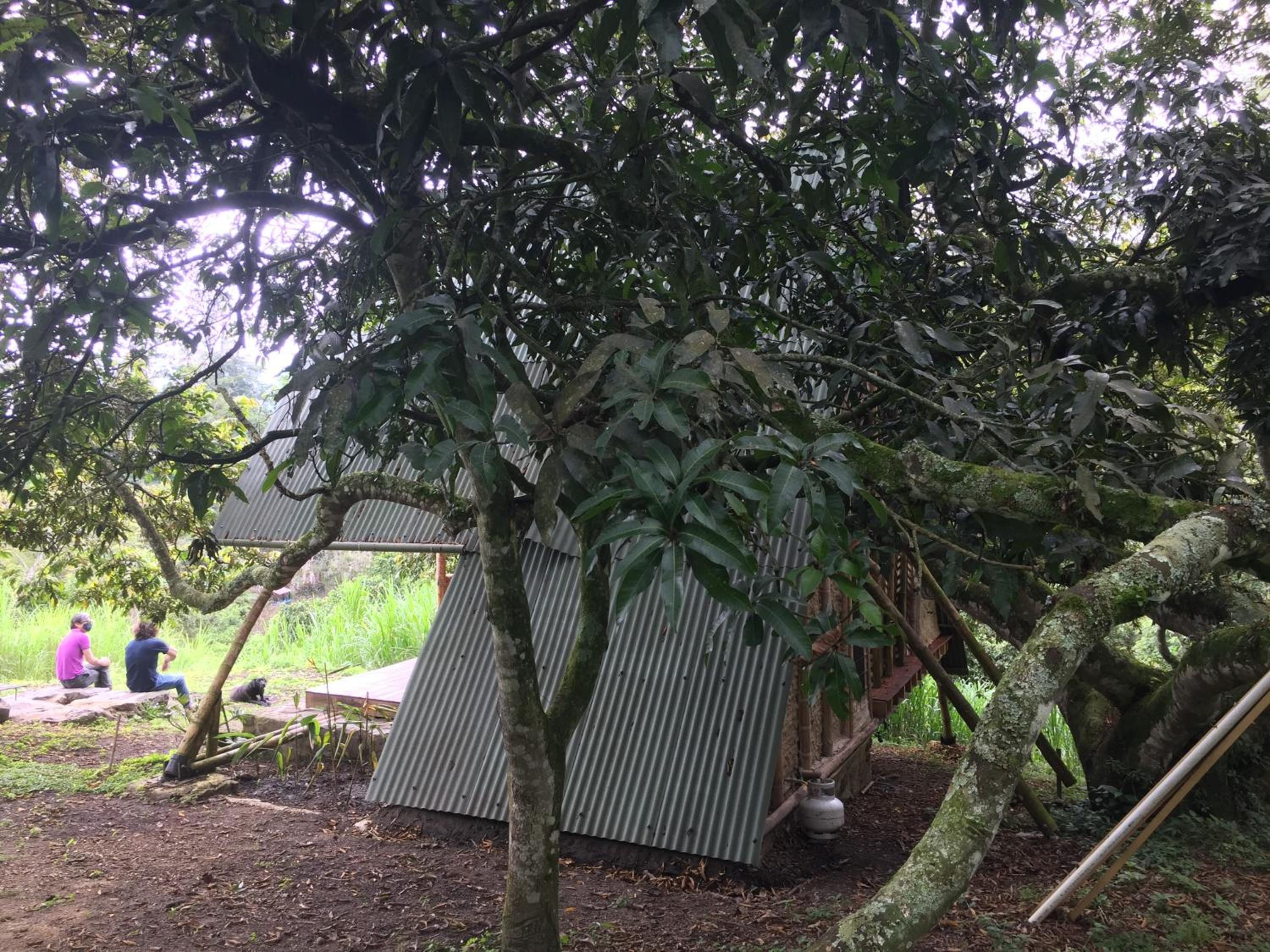 Glamping El Árbol en la Casa