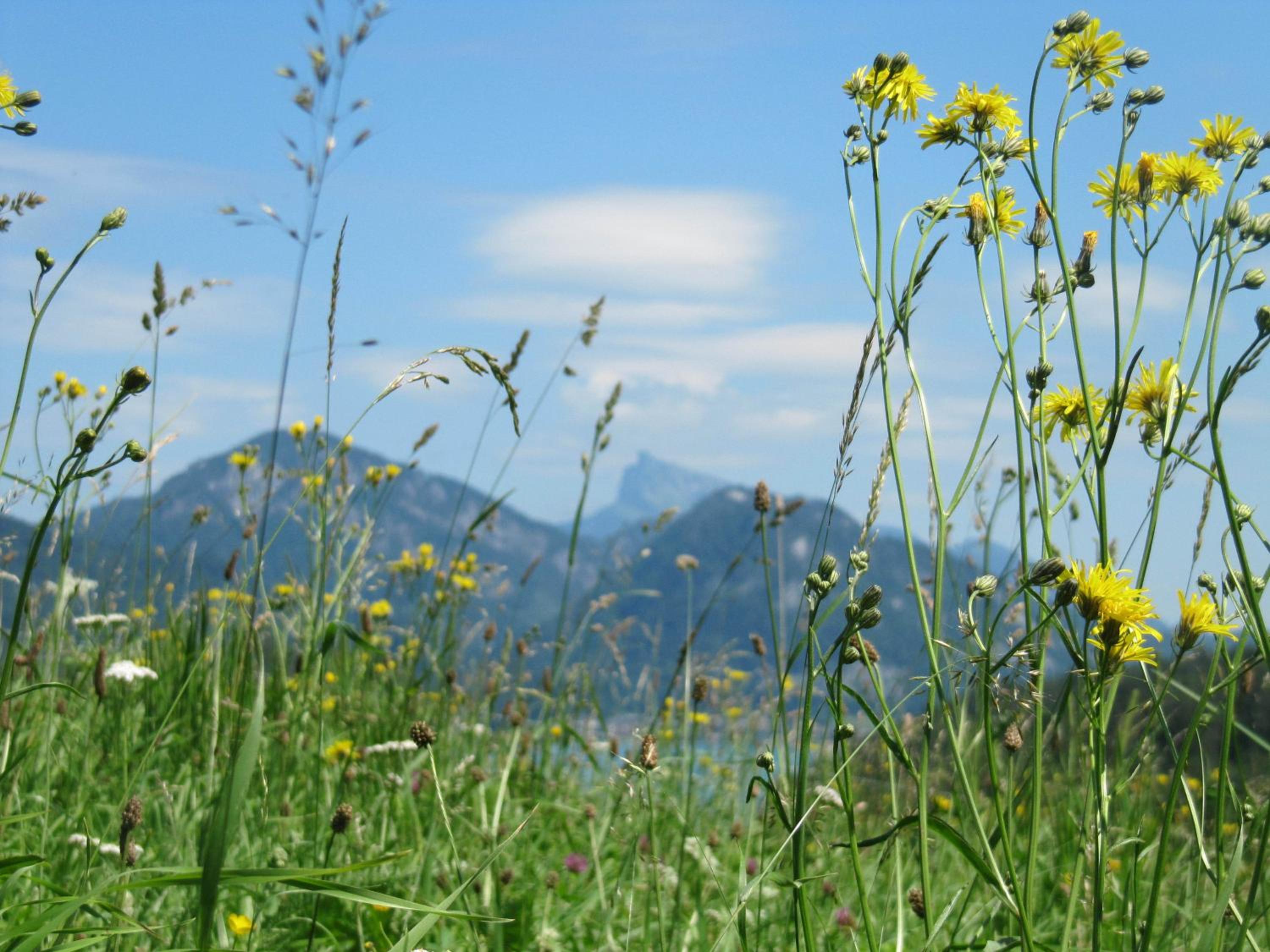 Bauernhof Unterhöfner