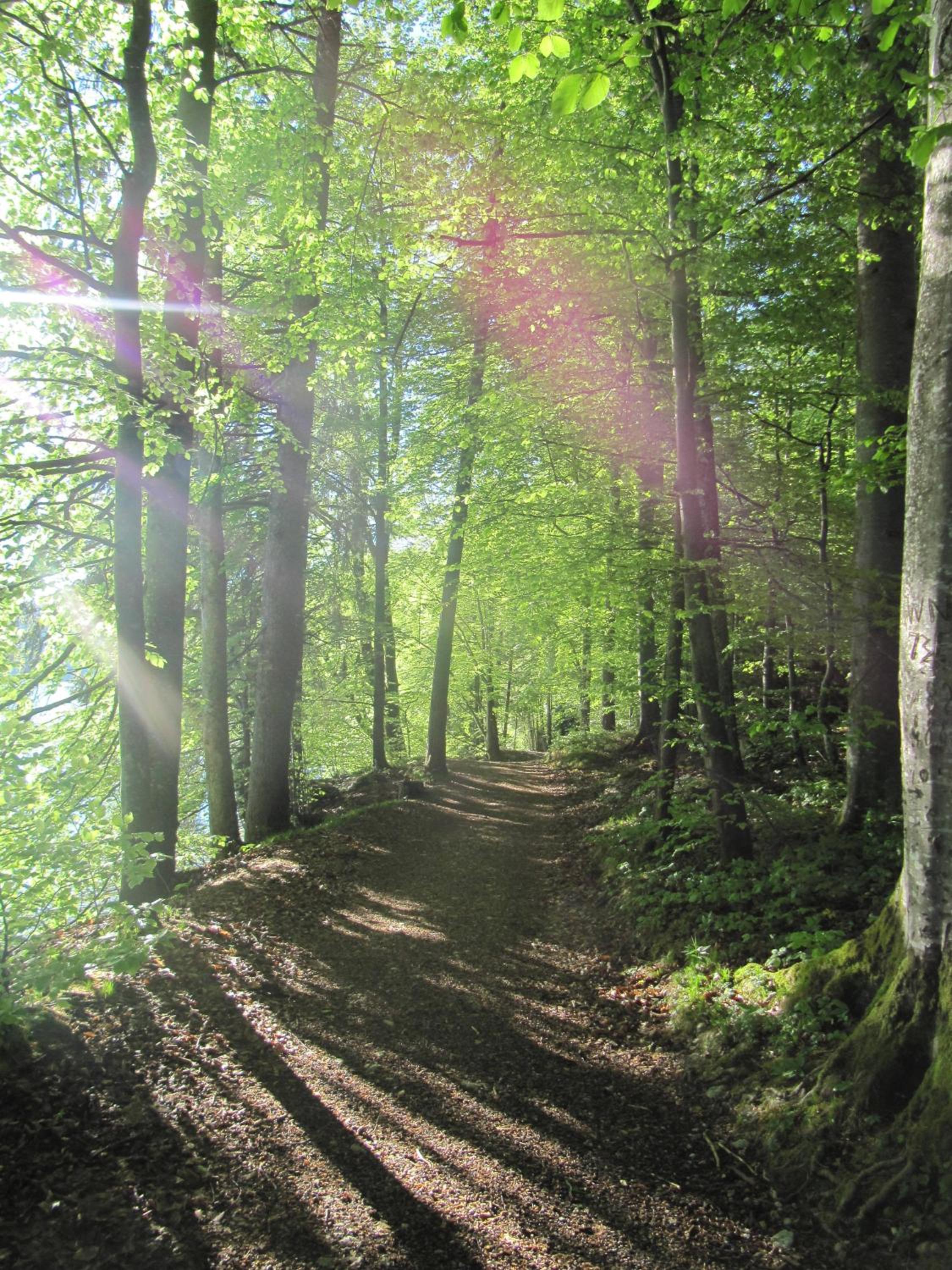 Bauernhof Unterhöfner
