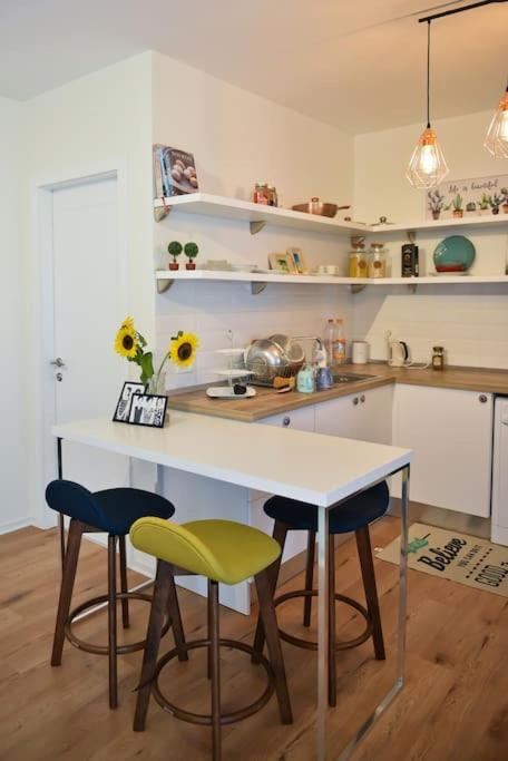 ✦ The Muse Apartment