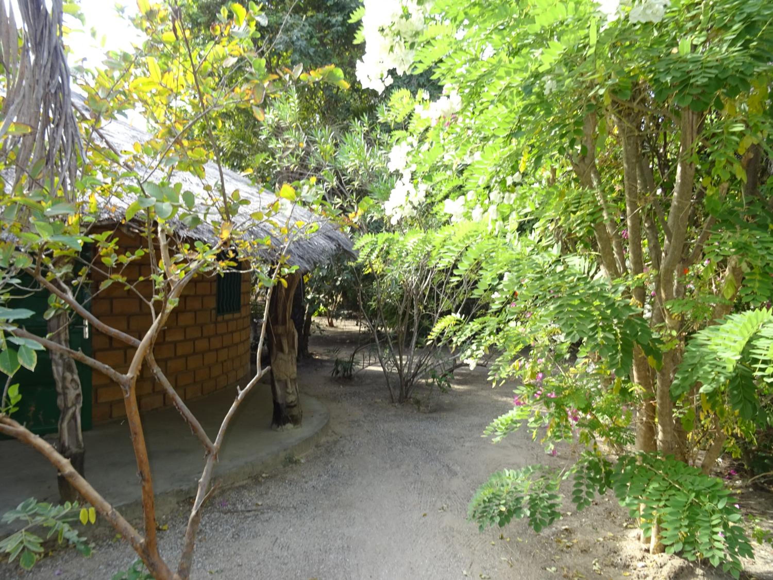 Photo 15