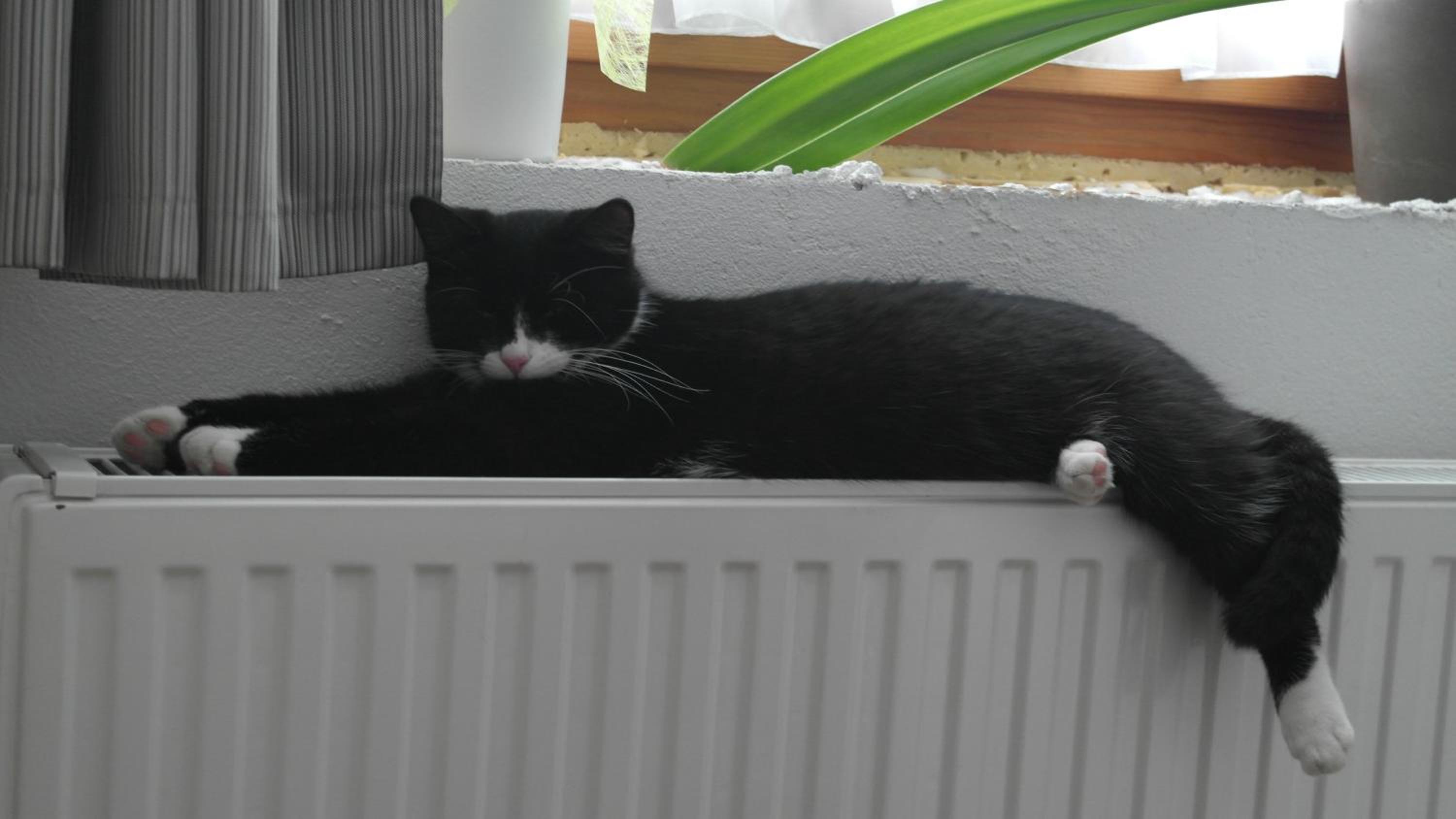 Appartement Gwiggner