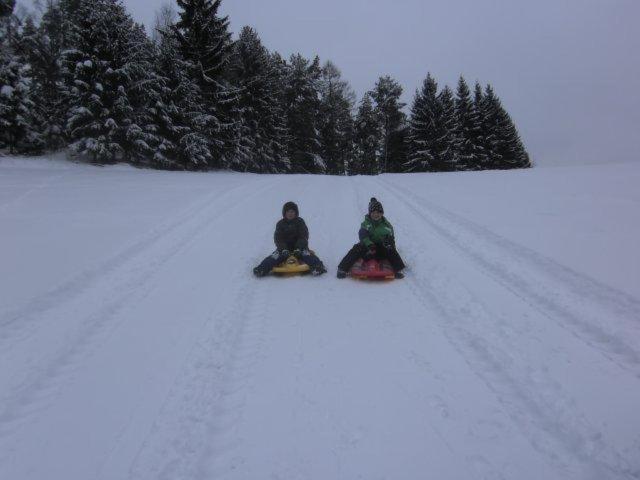 Photo 23