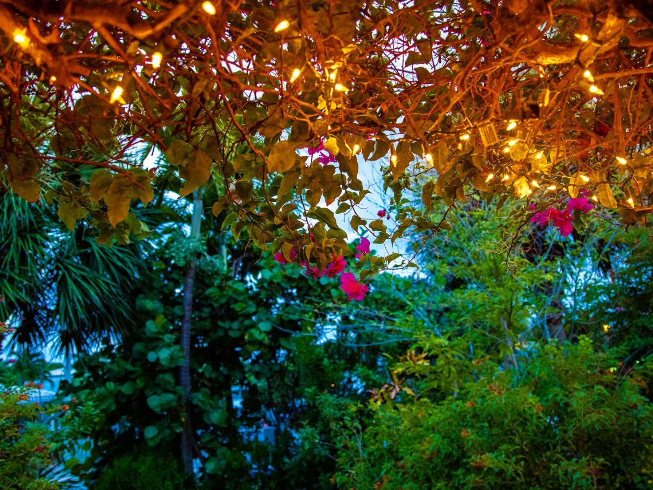 The Desoto - Oceanview Inn