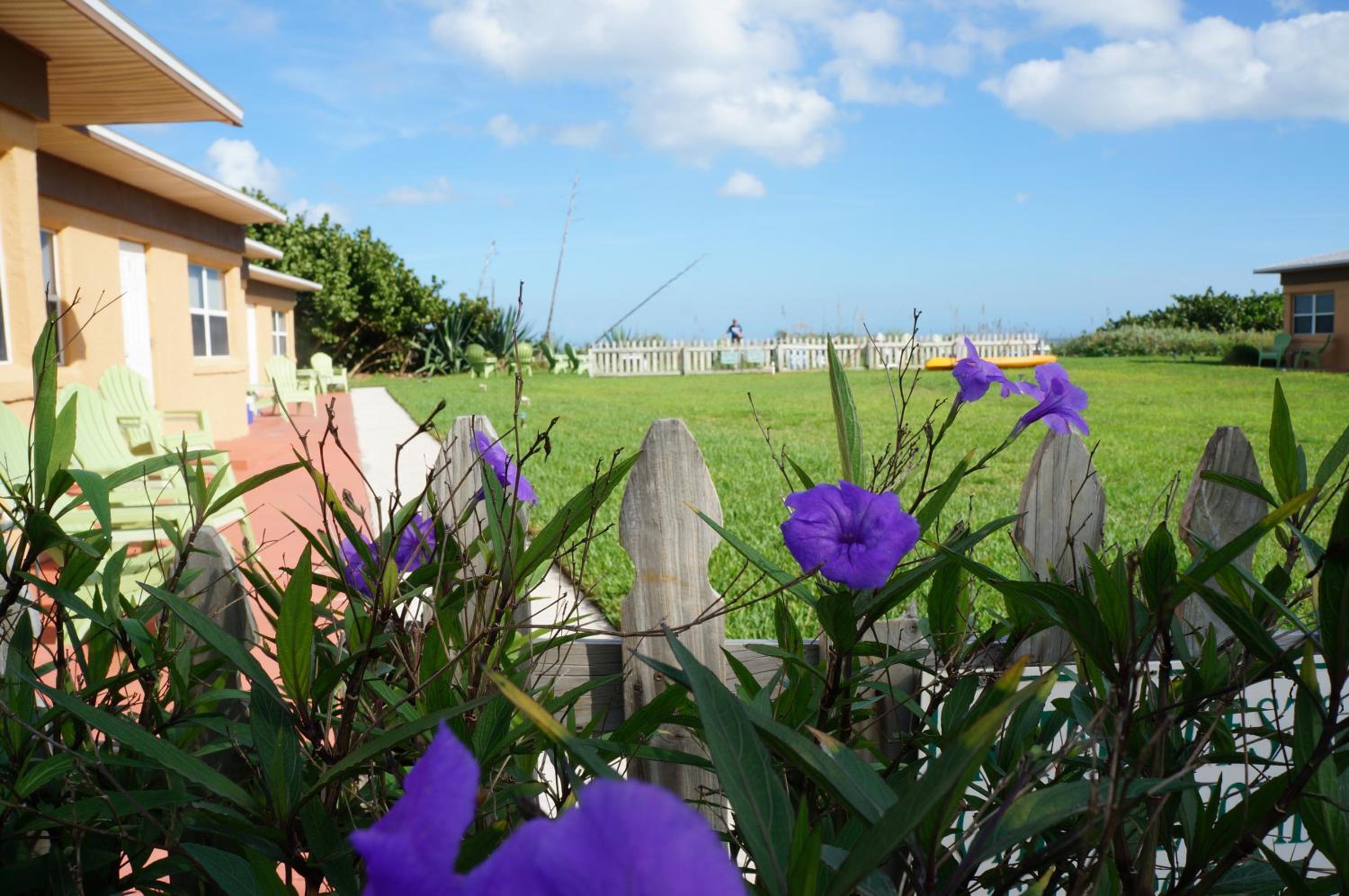 Ocean Front Paradise Resort view 2