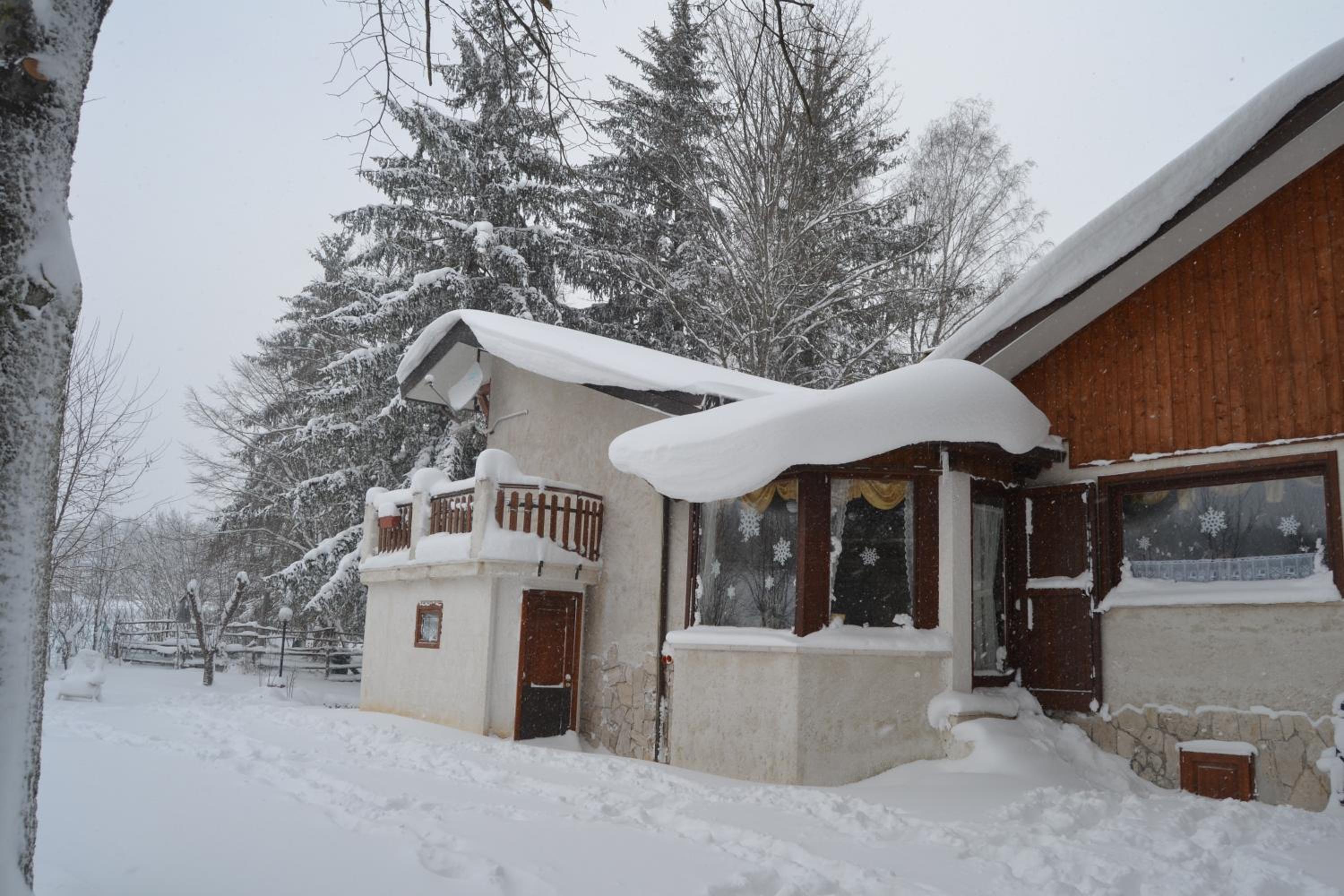 Rifugio Del Pettirosso