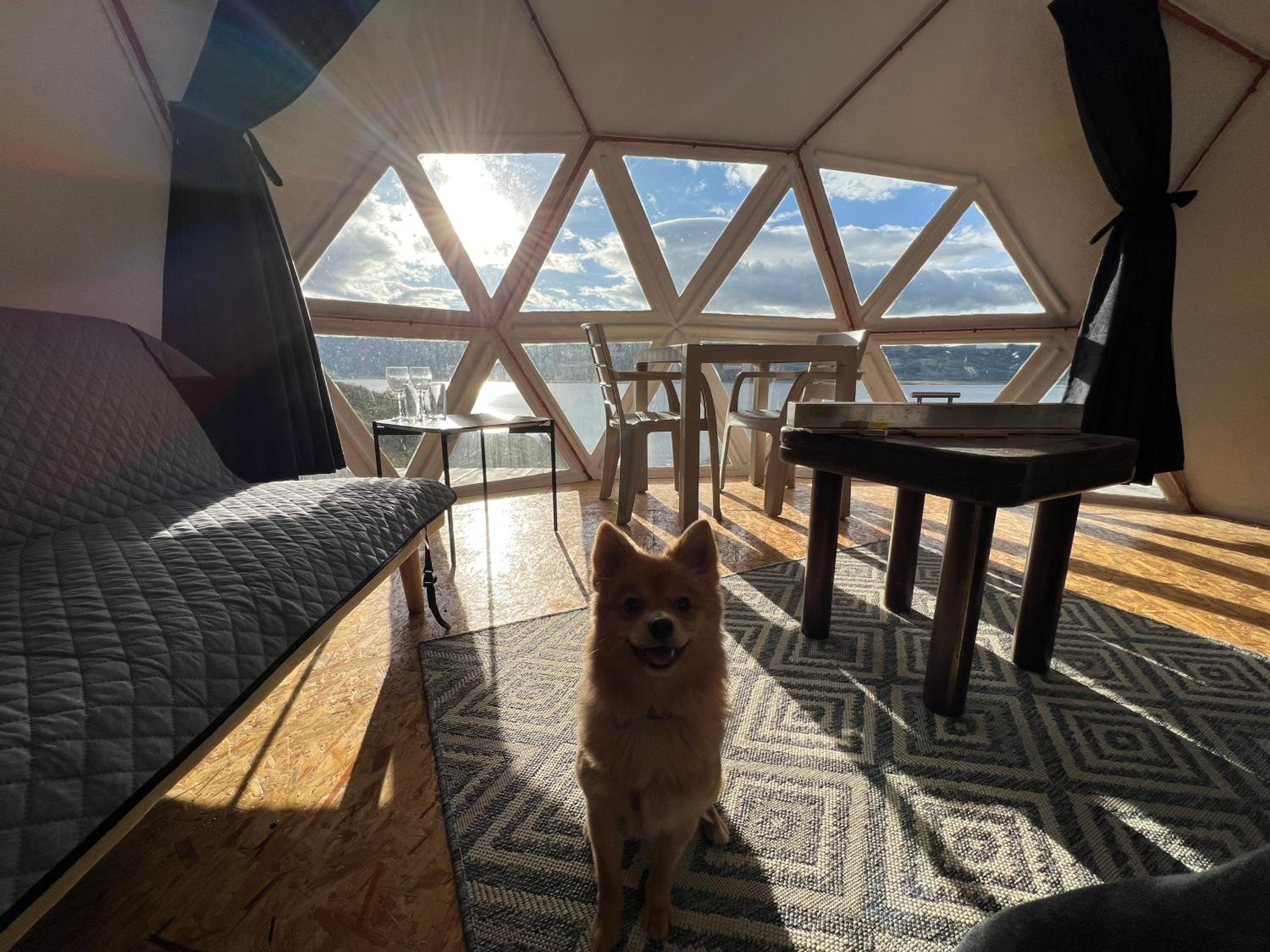 Glamping Vista Lago Guatavita view 2