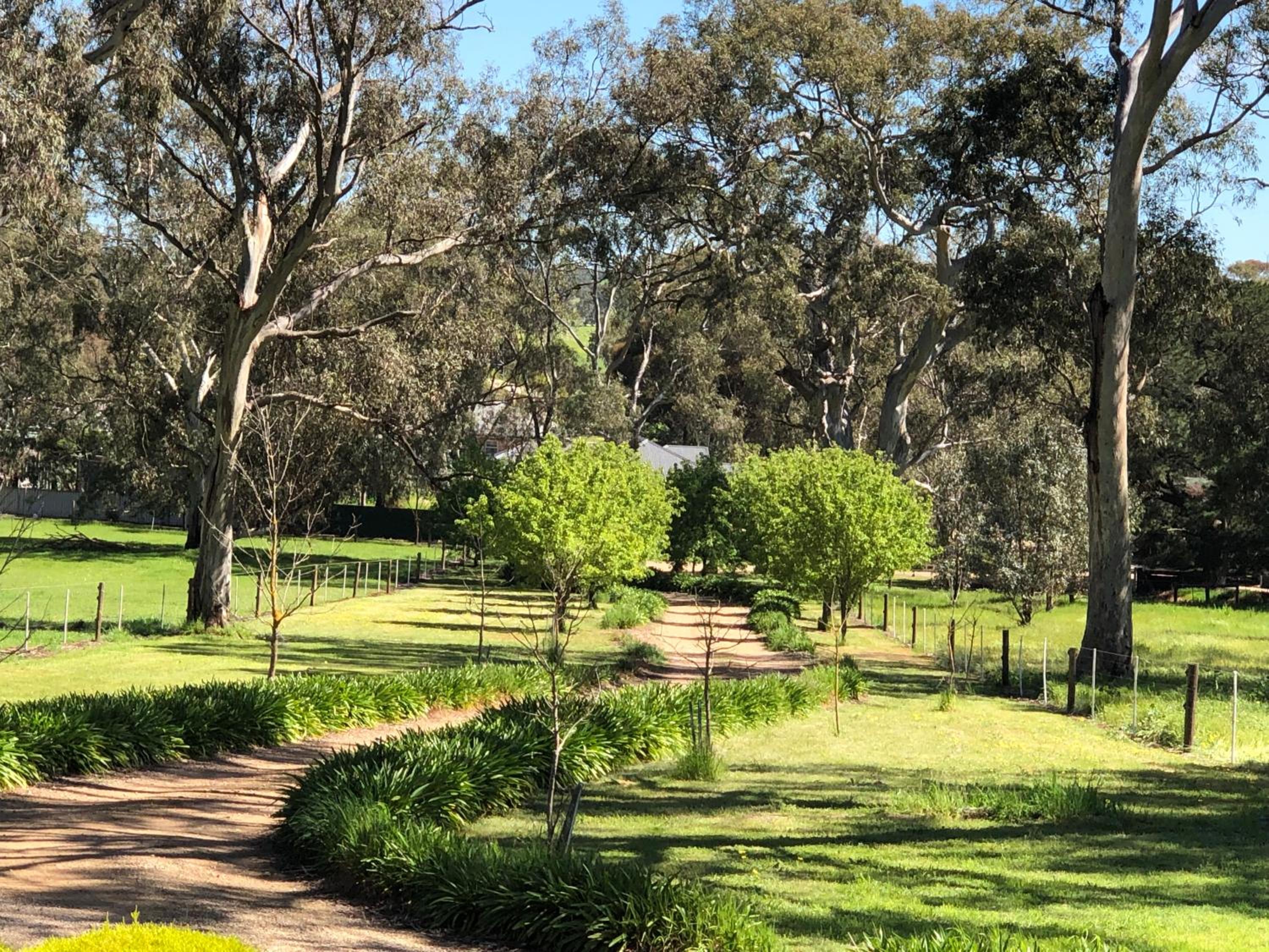 Rockridge Farm