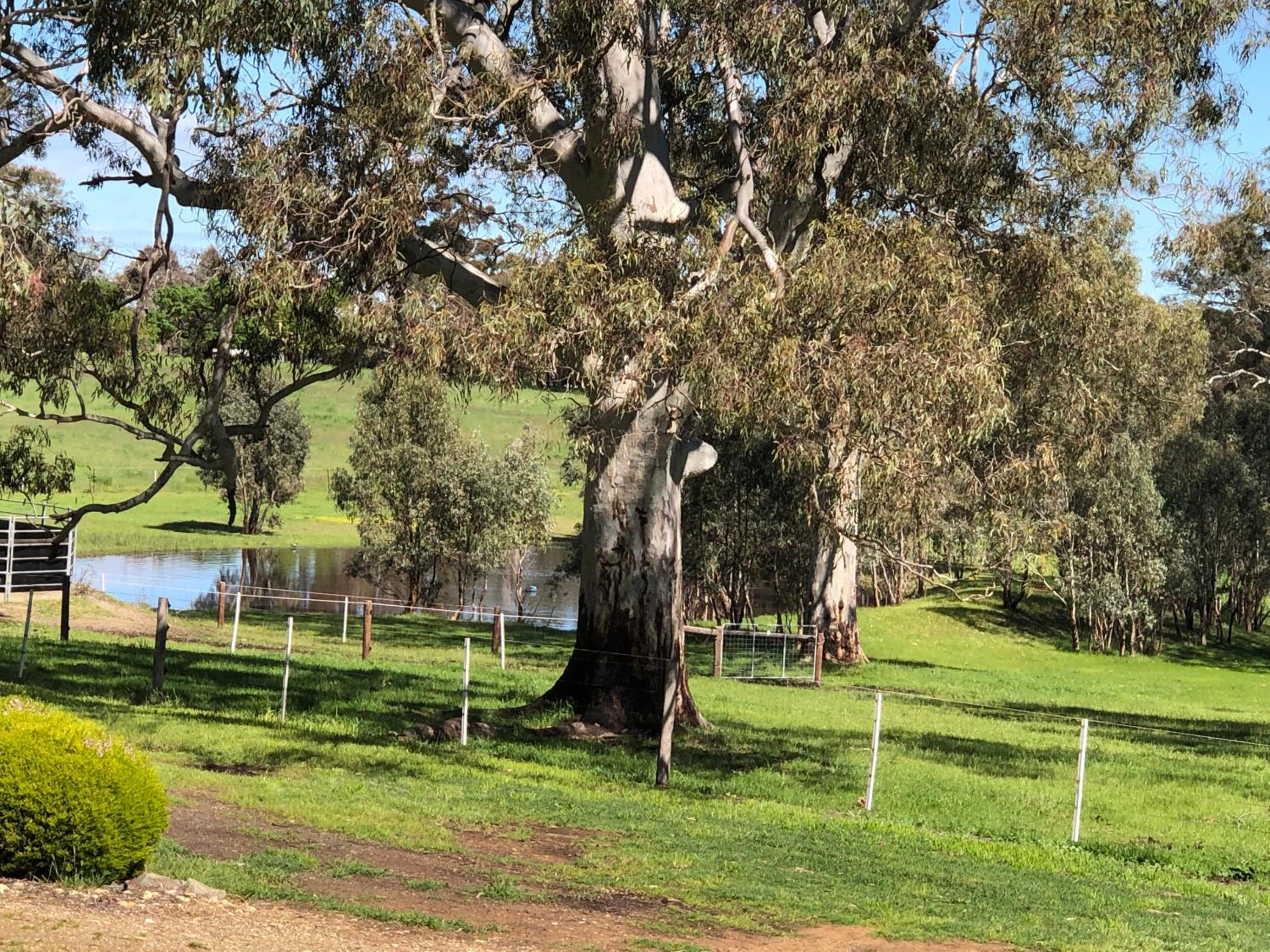 Rockridge Farm