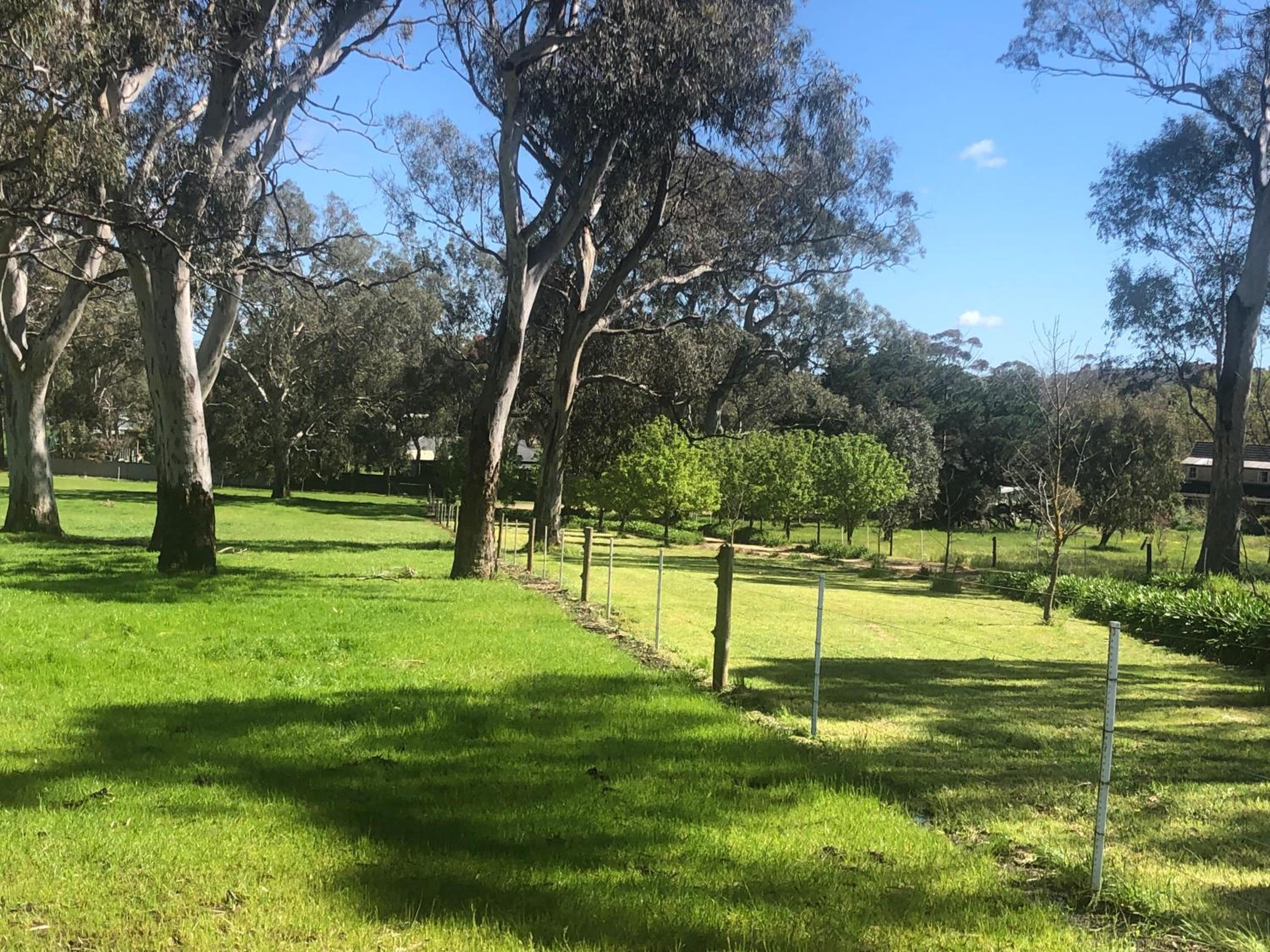 Rockridge Farm